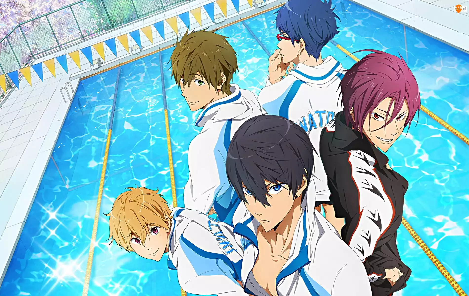 chłopcy, Free!, anime, Iwatobi Swim Club, basen