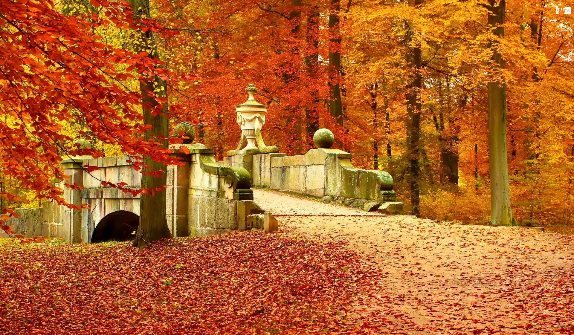 Jesień, Liście, Park, Mostek