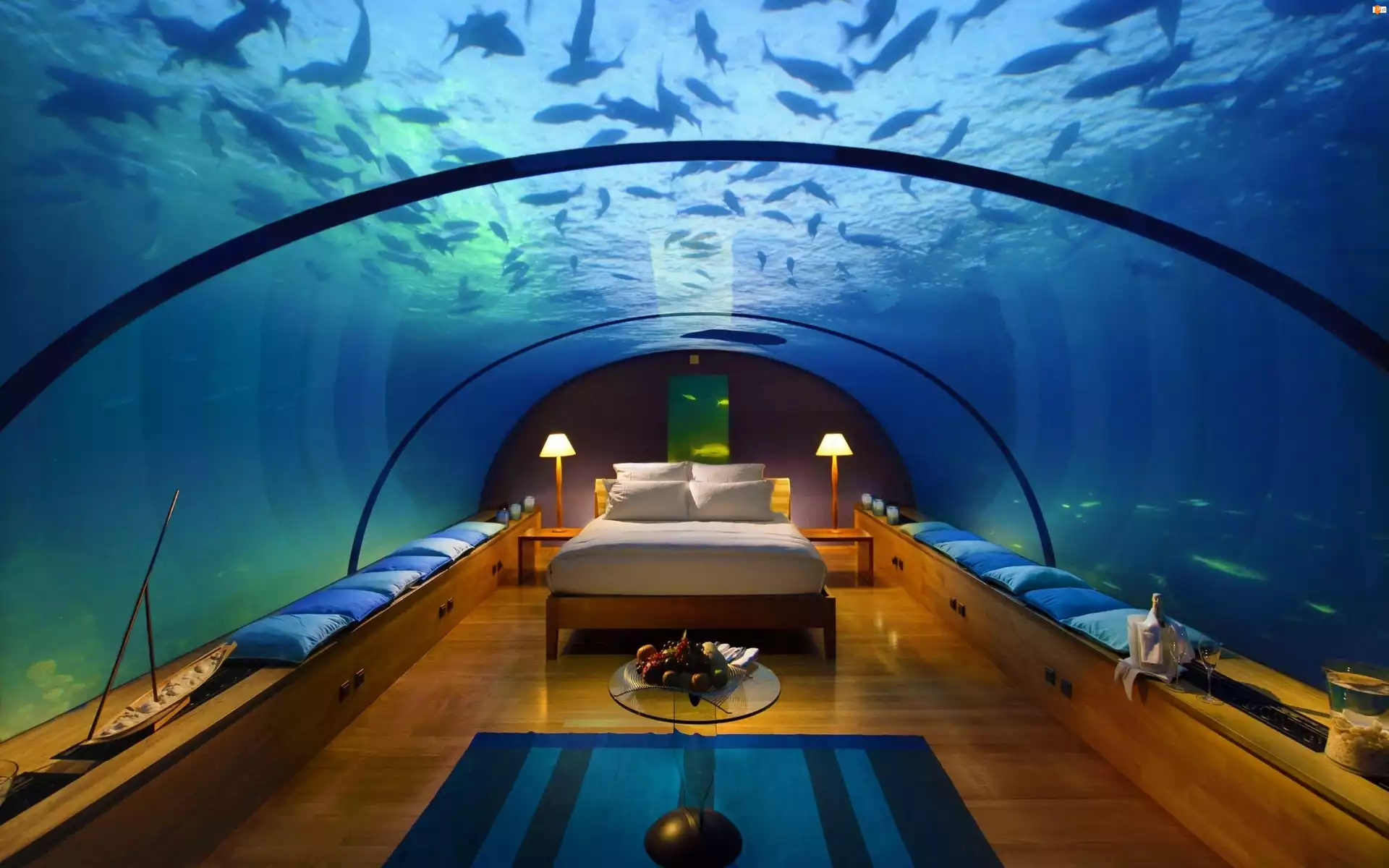 Oceanarium, Podwodny, Hotel, Dubaj