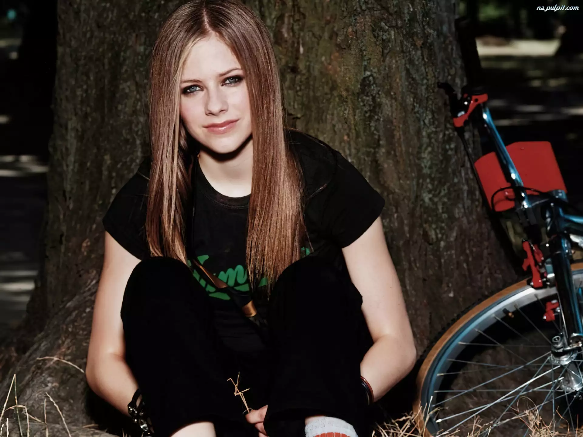 Rower, Avril Lavigne, Drzewo