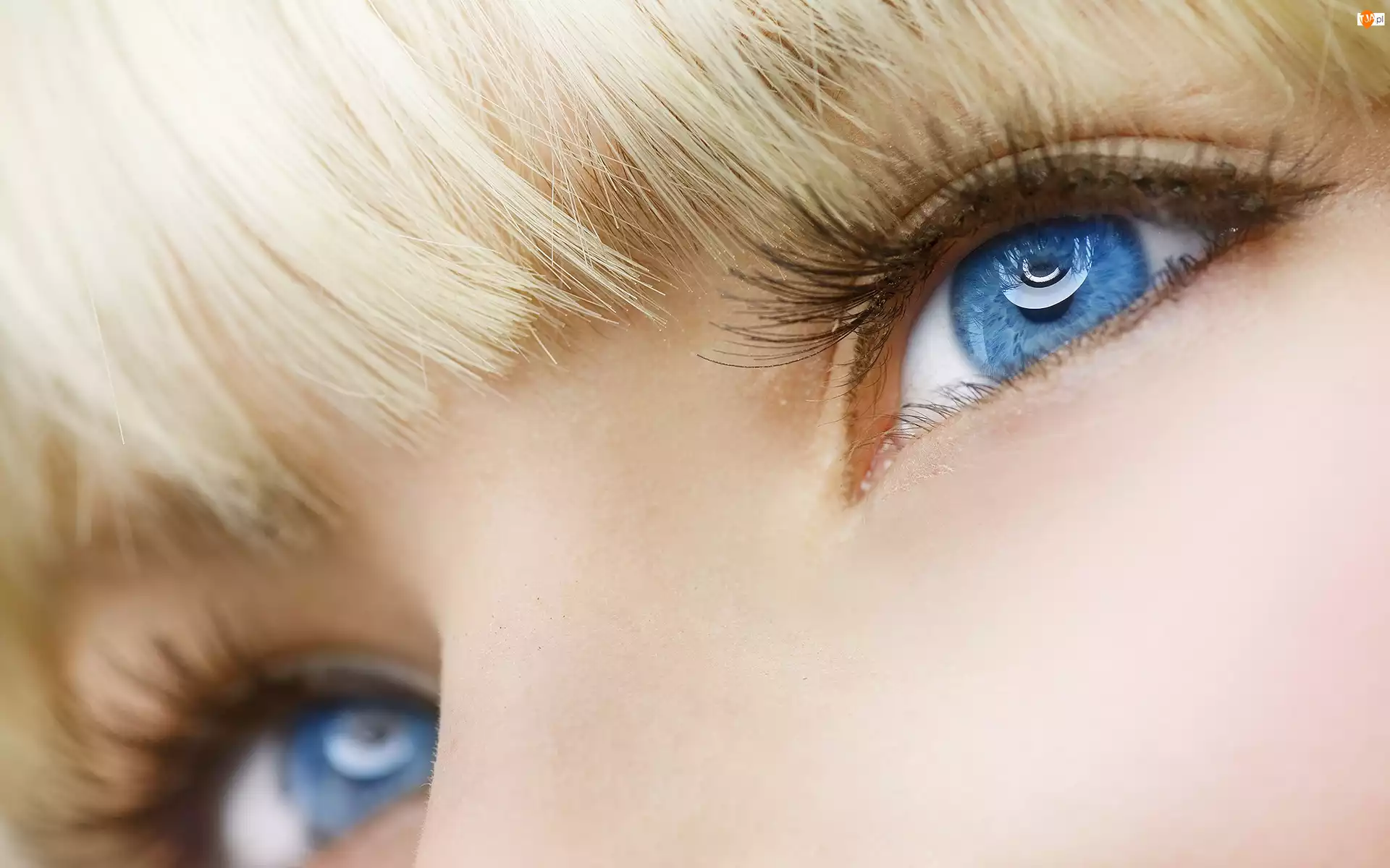 Niebieskie, Piękne, Blondynka, Grzywka, Oczy, Krótka