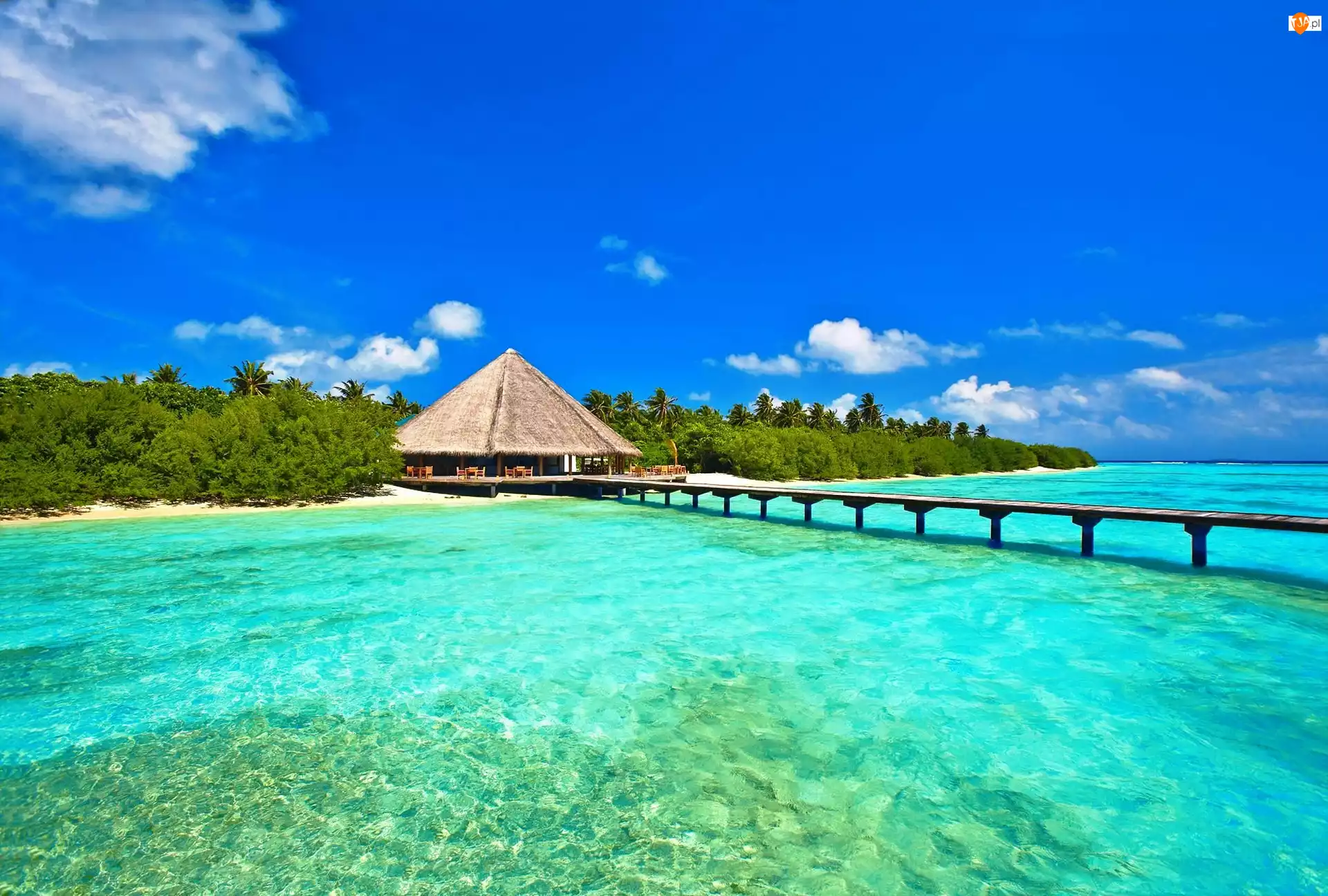 Malediwy, Molo, Morze, Las