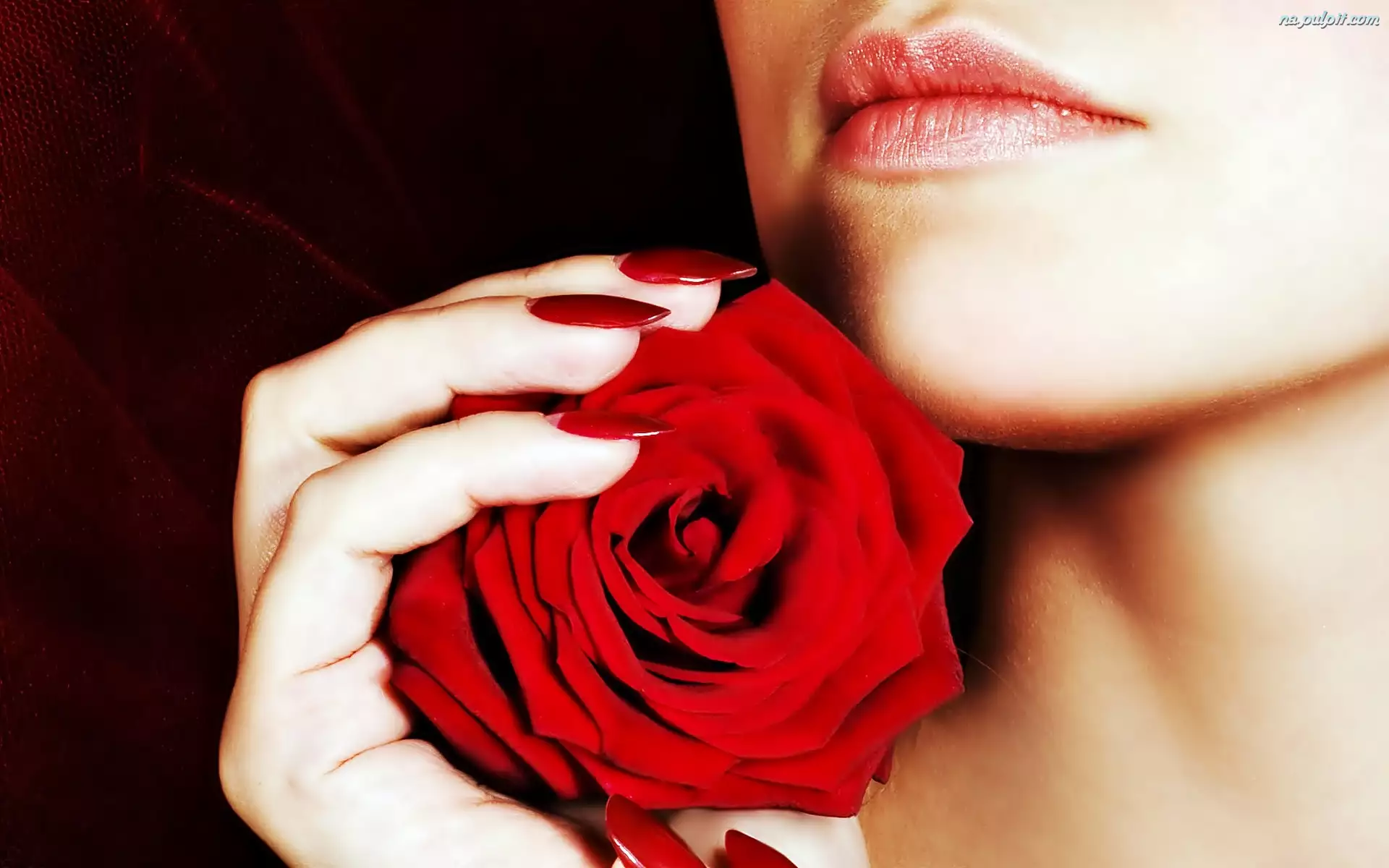 Róża, Kobieta, Dłoń