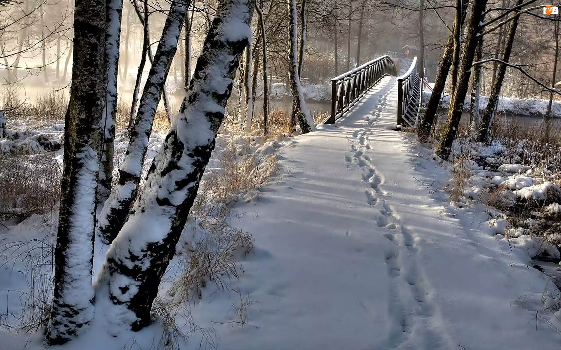 Śnieg, Park, Ślady, Zima, Most, Drewniany, Drzewa