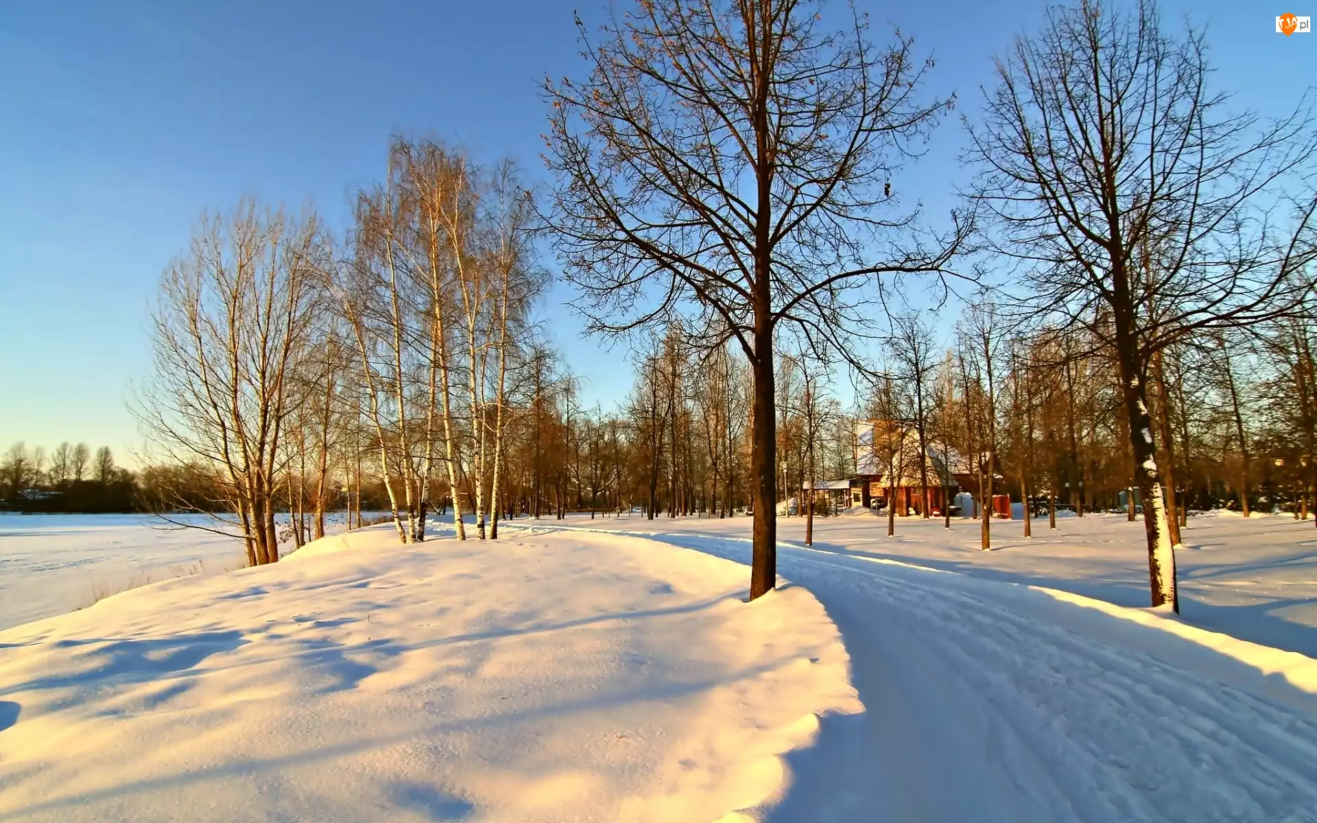 Droga, Domek, Śnieg, Zima, Drzewa