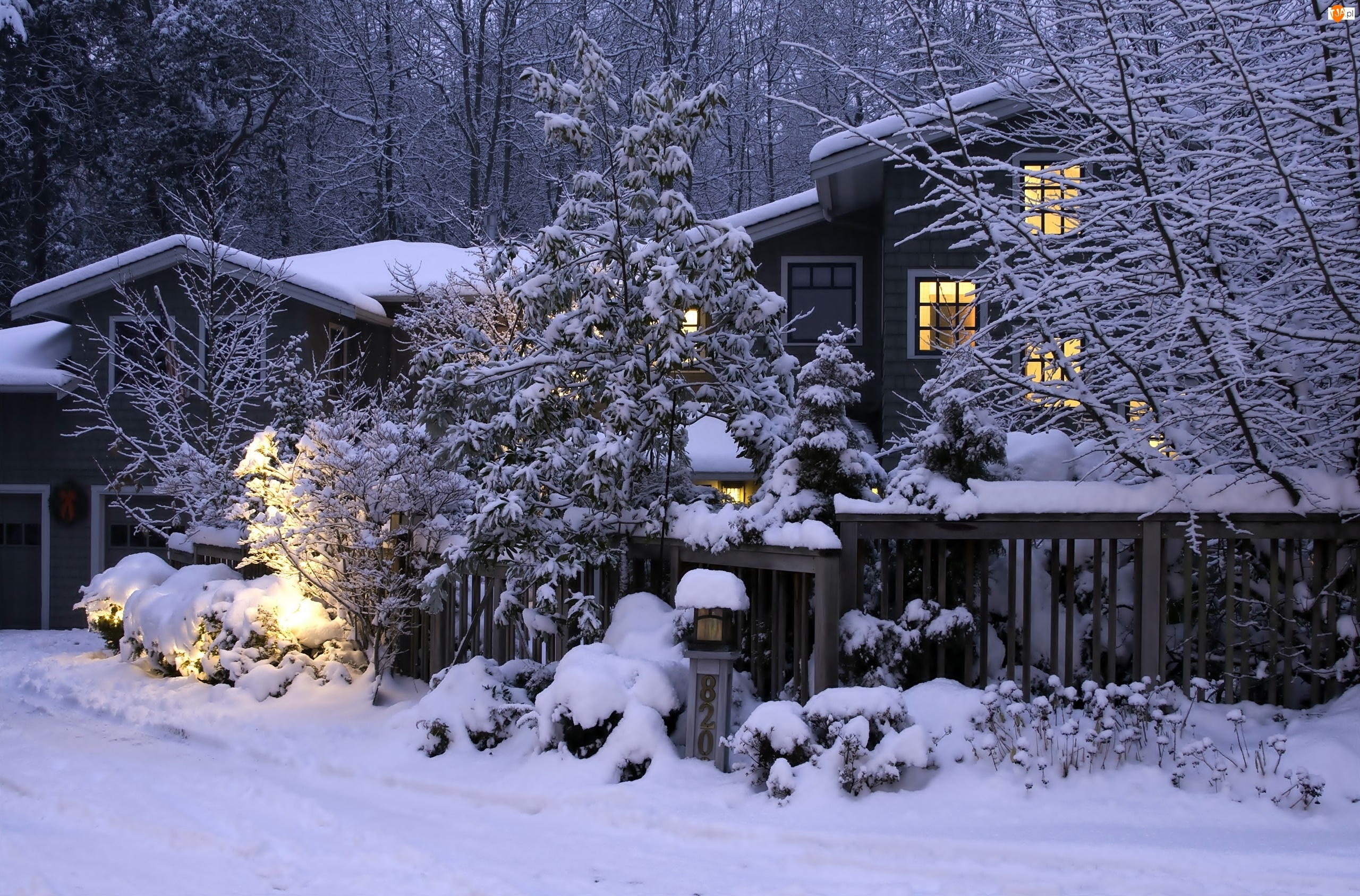 Zima, W Śniegu, Dom, Drzewa