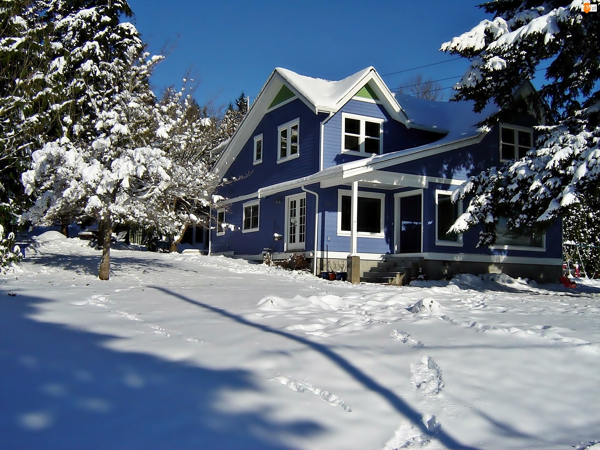 Zima, Śnieg, Drzewa, Dom