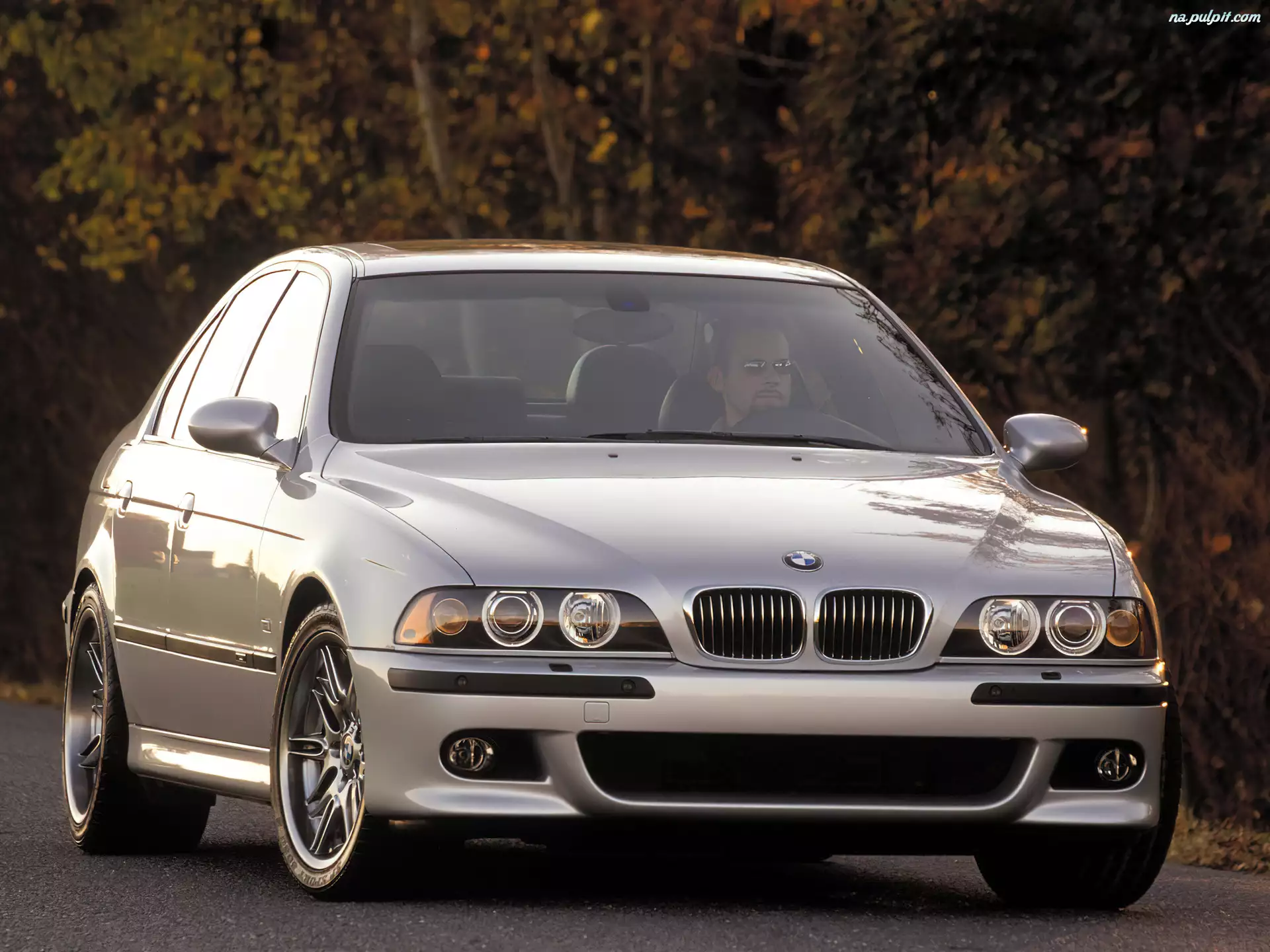 E39, BMW Seria M