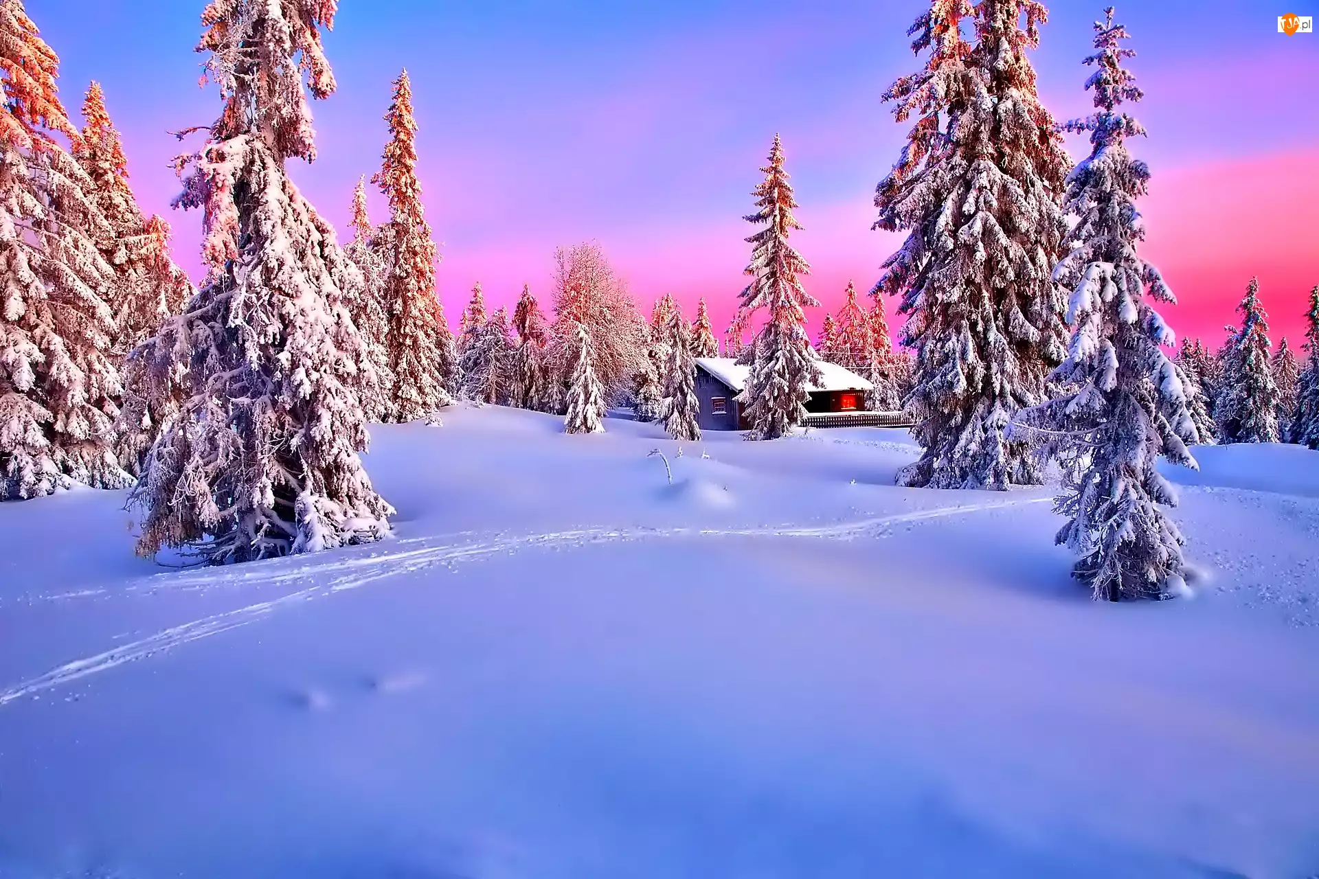 Drzewa, Zima, Zachód Słońca, Śnieg, Las