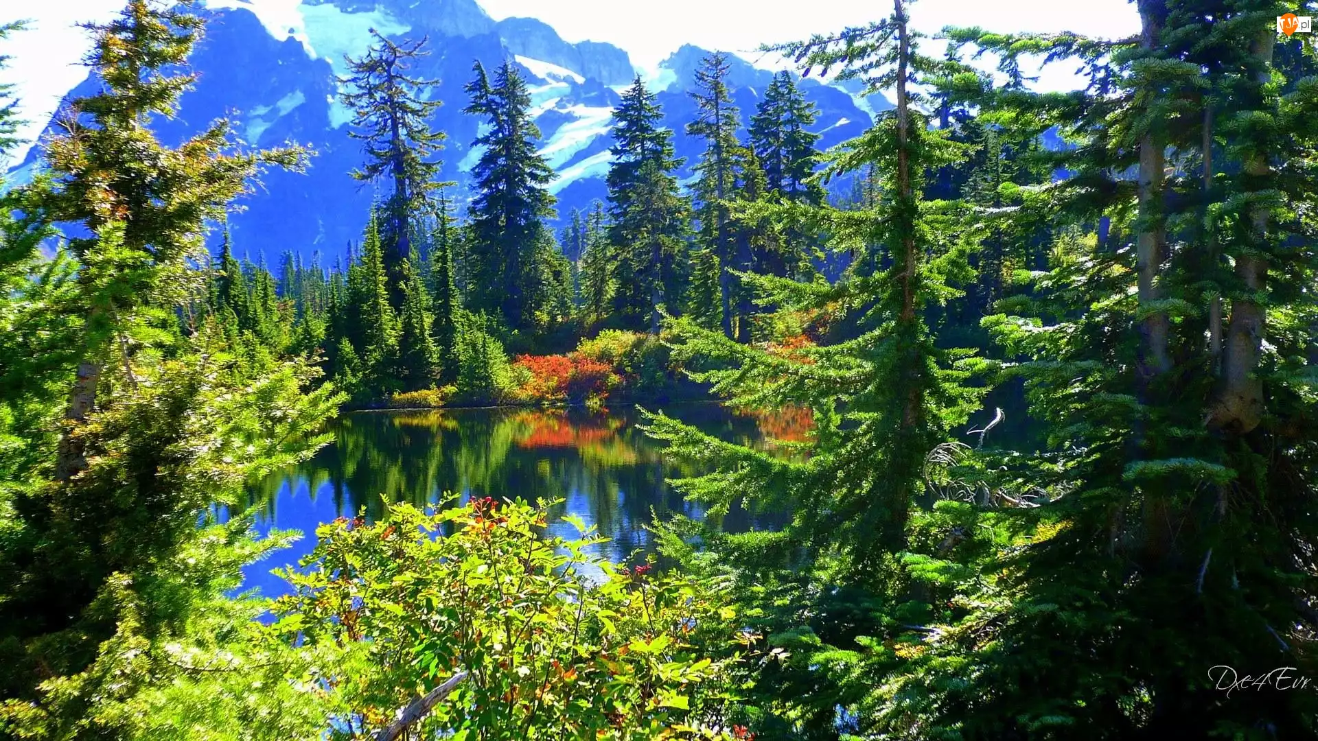 Las, Góry, Jezioro