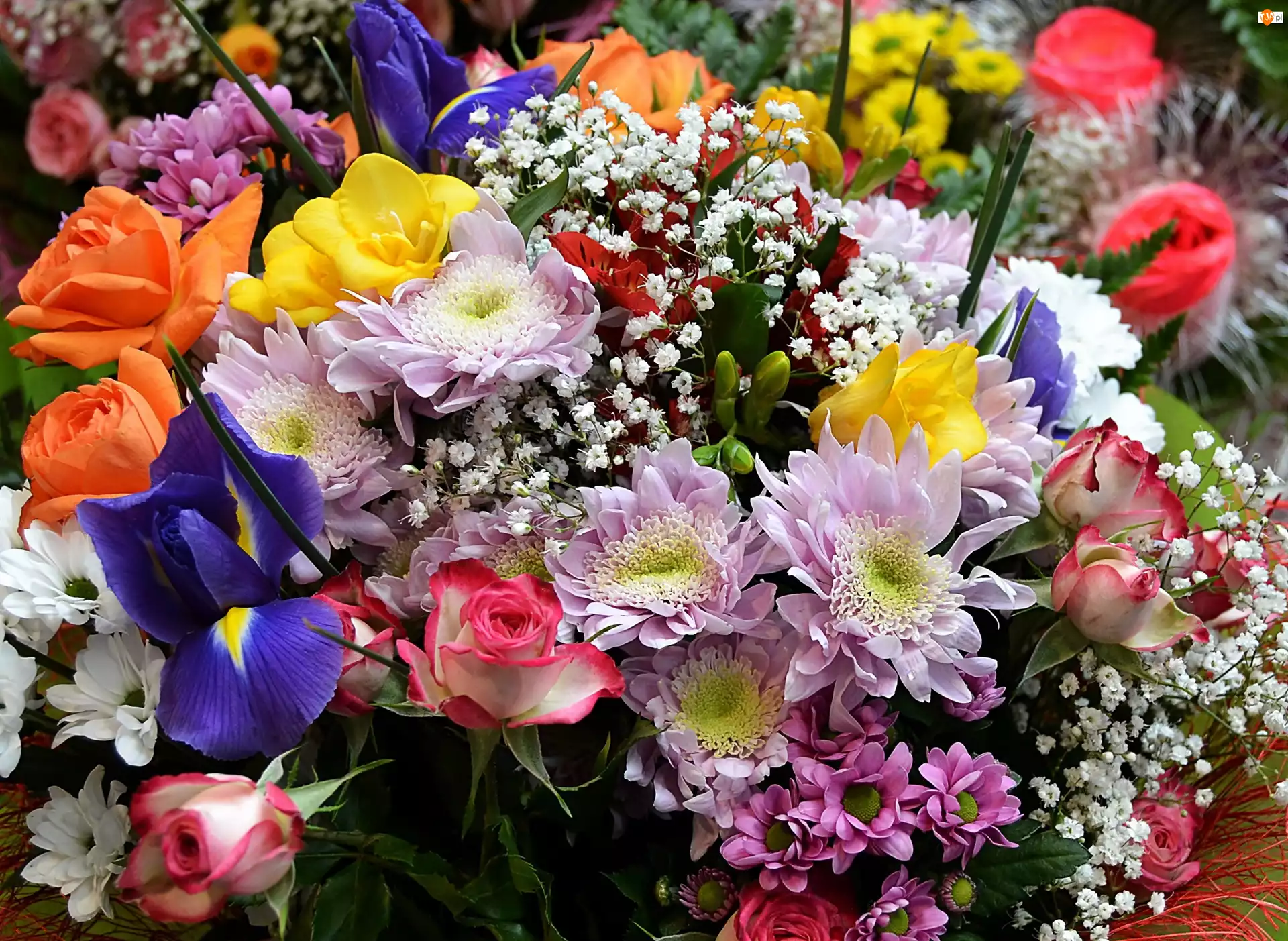 Kwiaty, Kolorowe, Bukiet, Kwitnące