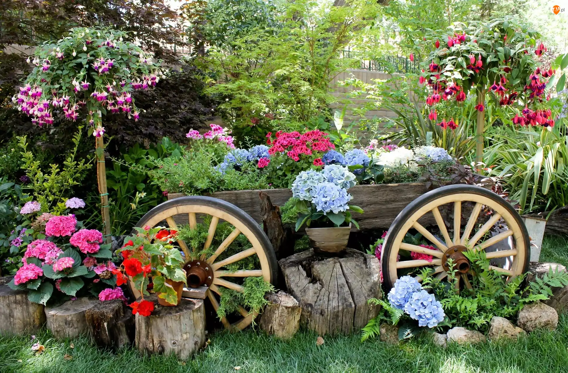 Wózek, Ogród, Kwiaty