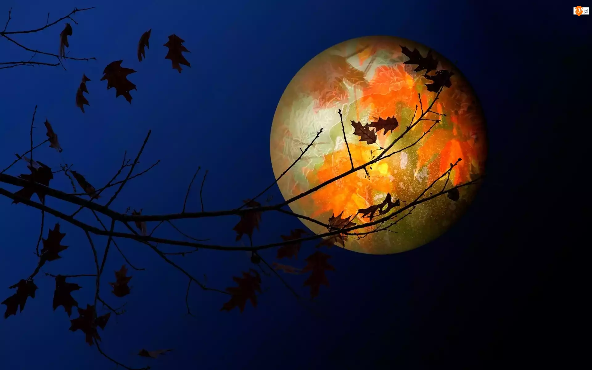 Gałęzie, Noc, Księżyc, Planeta, Drzewo