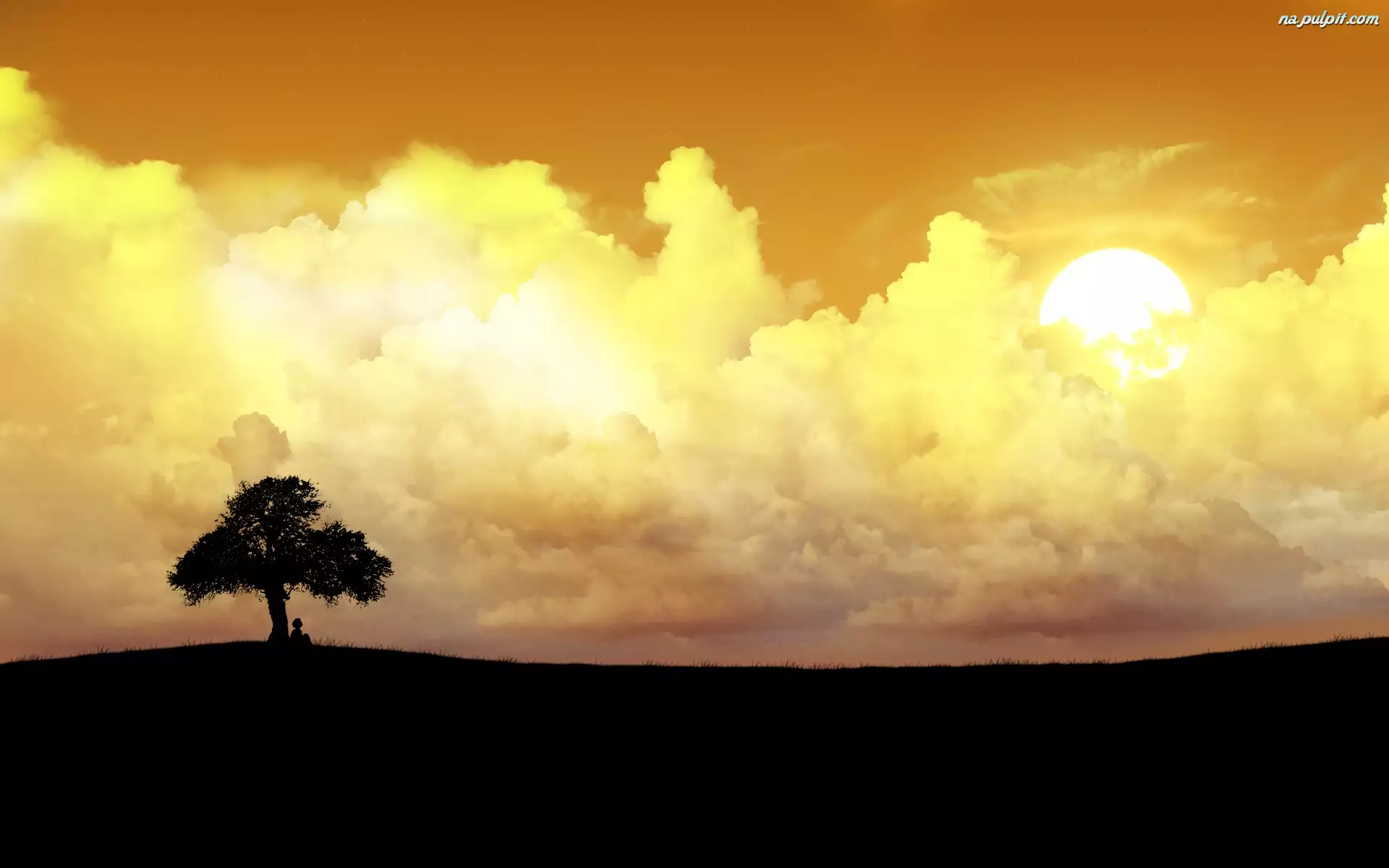 Drzewo, Chmury, Słońce