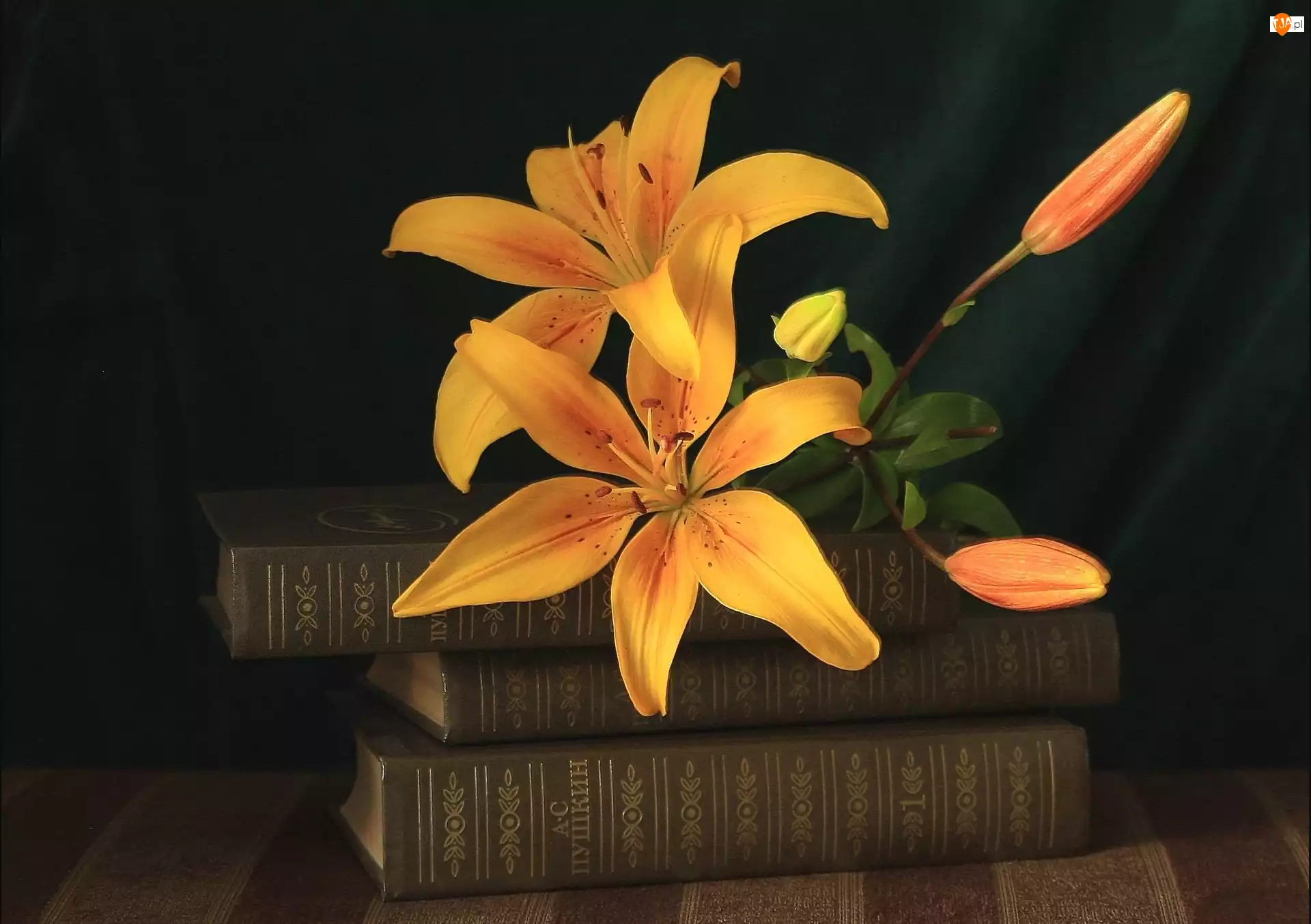 Książki, Kwiaty, Lilie