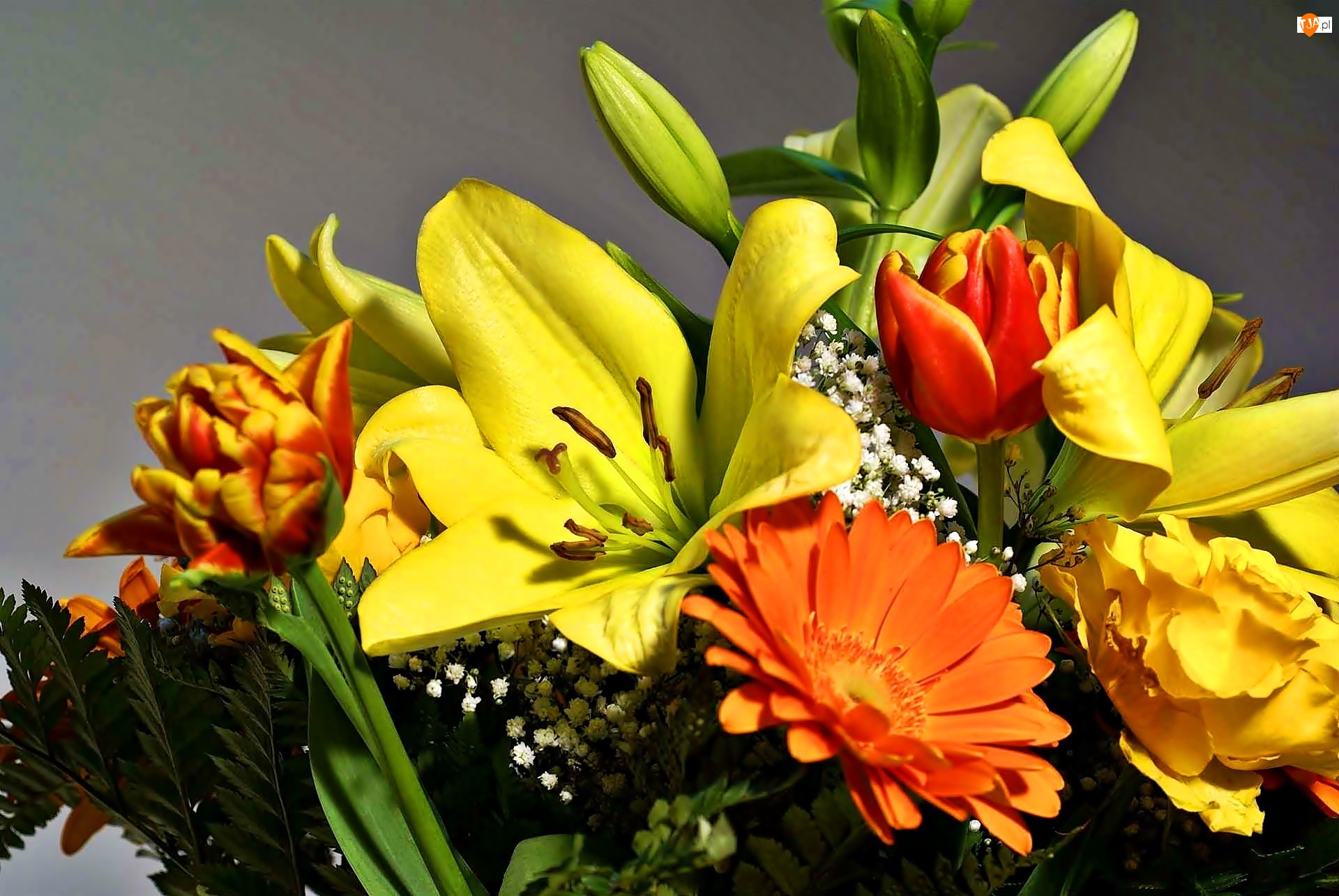 Lilie, Gerbery, Kwiatów, Bukiet, Tulipany