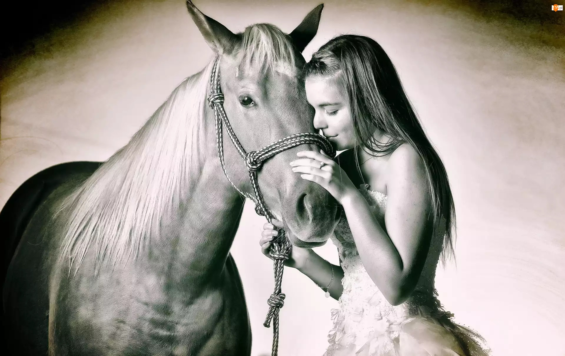 Dziewczynka, Koń