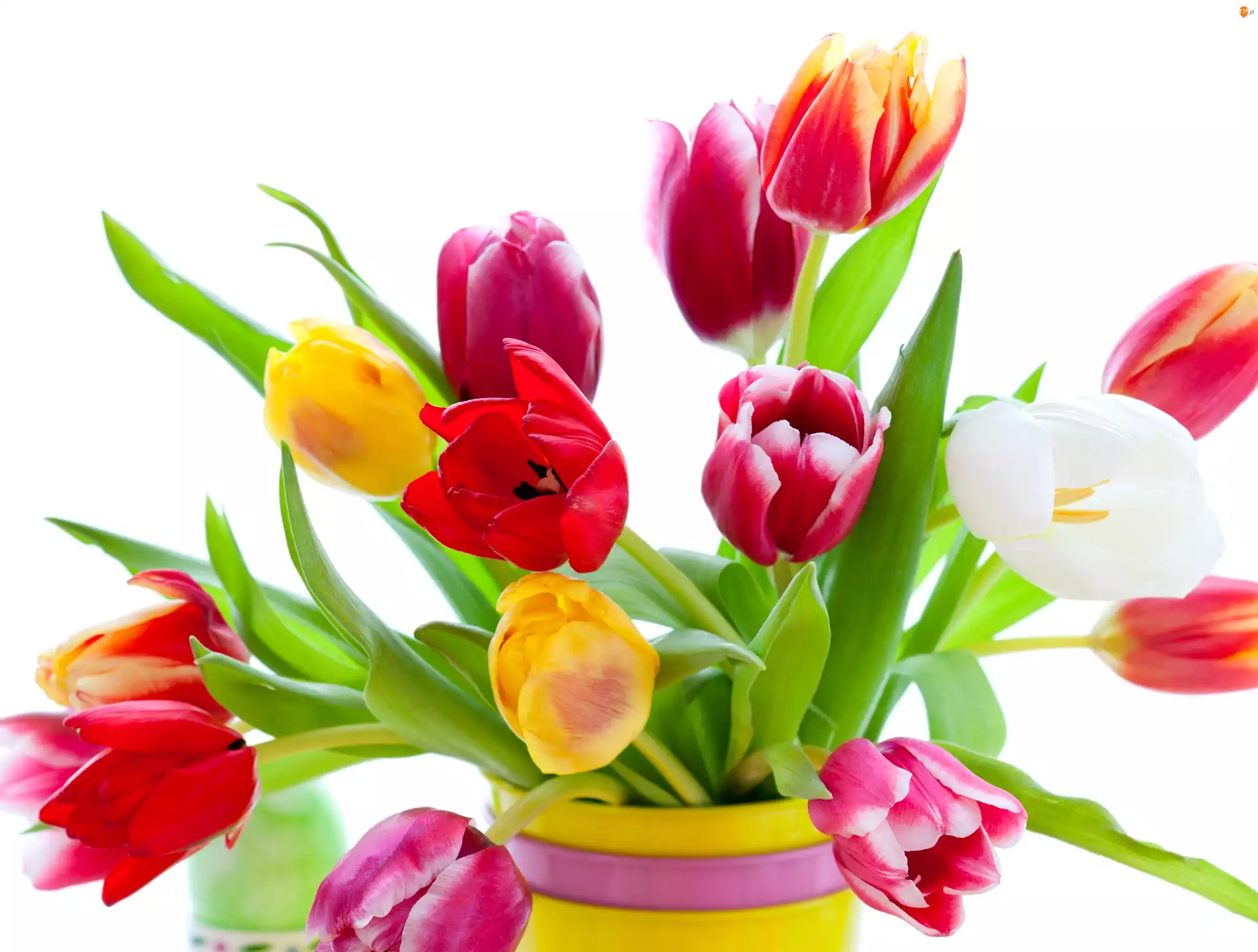 Kwiaty, Bukiet, Kolorowe Tulipany, Wazon