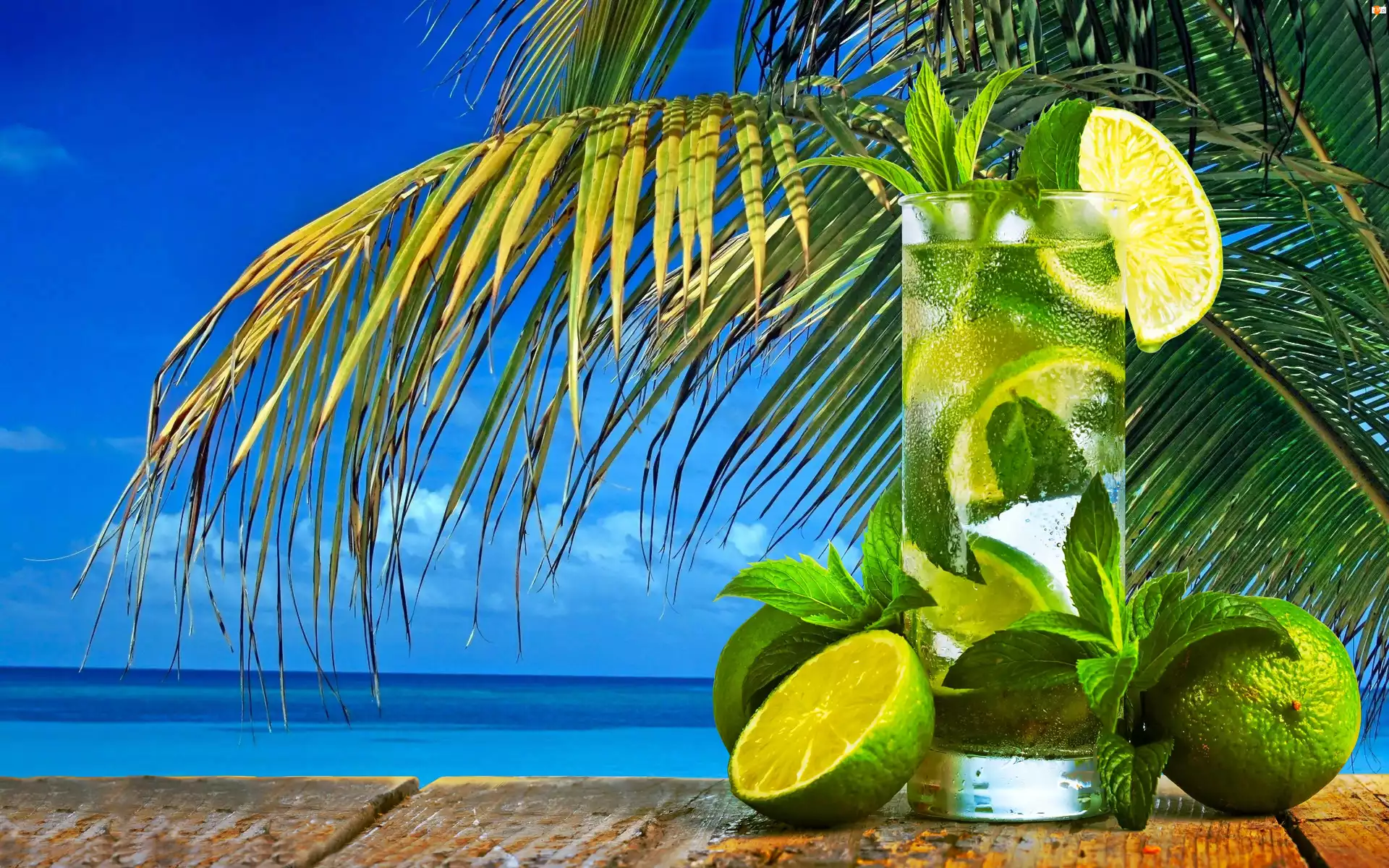 Tropiki, Drink Mojito, Palma, Ocean