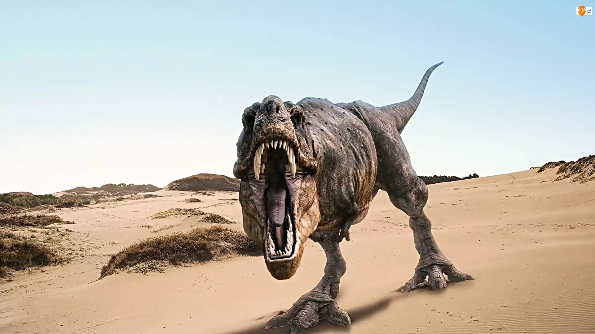 Ti-Rex, Dinozaur