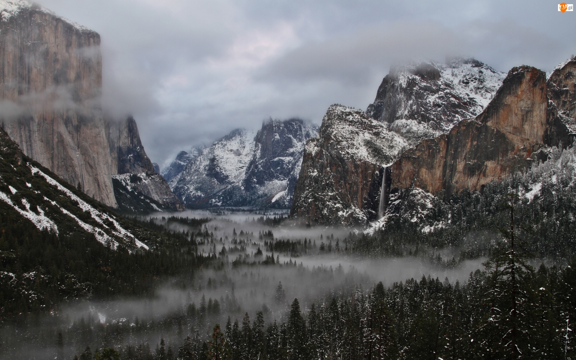 Mgła, Park Narodowy, Góry, Yosemite, Lasy