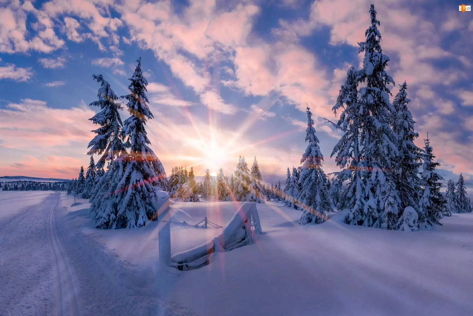 Droga, Norwegia, Wschód Słońca, Zima, Poranek