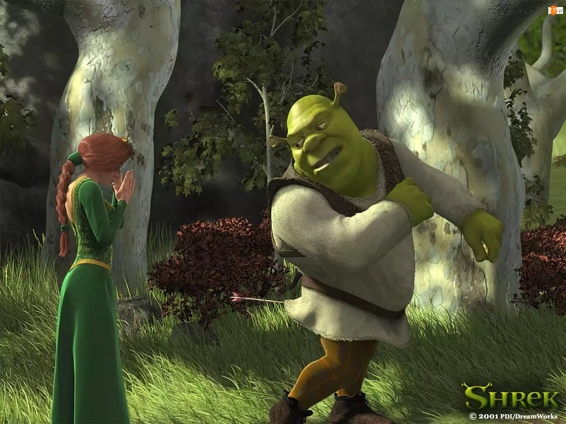 drzewa, Shrek 1, Fiona, ogr