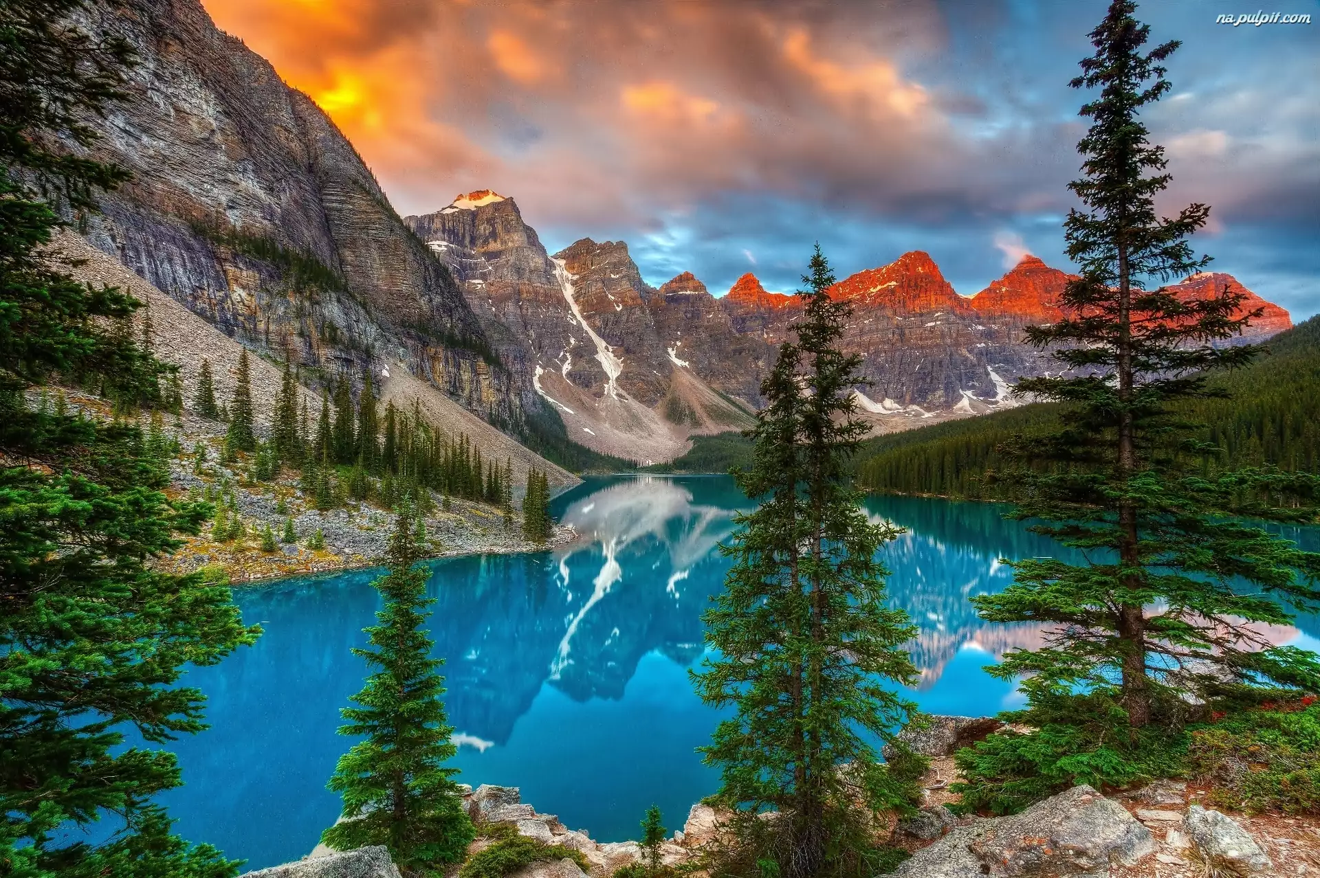 Prowincja Alberta, Park Narodowy Banff, Świerki, Kanada, Drzewa, Góry, Jezioro Moraine