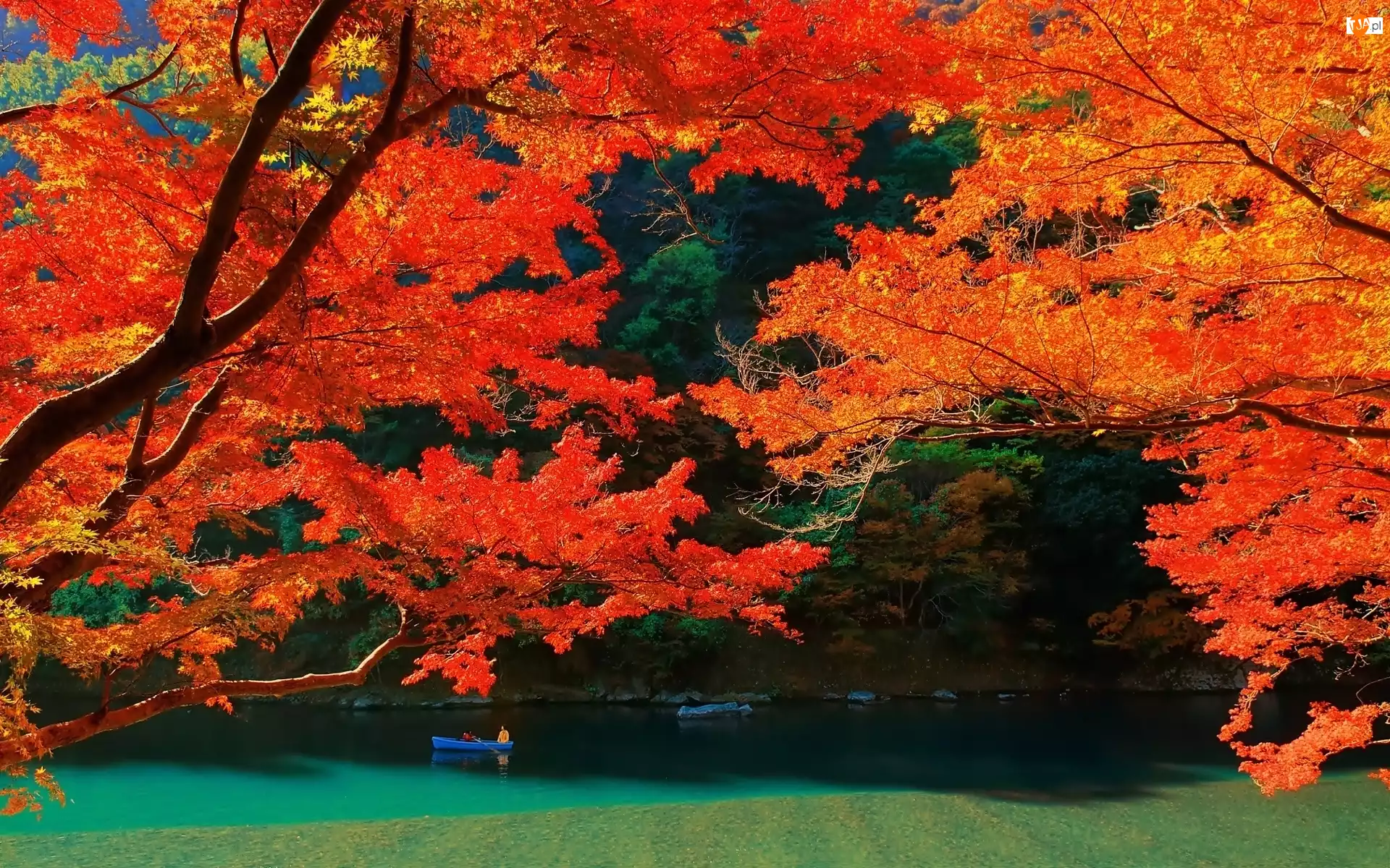 Kolory, Łódka, Lasy, Japonia, Góry, Wyspa, Jezioro, Kioto, Drzewa, Jesieni
