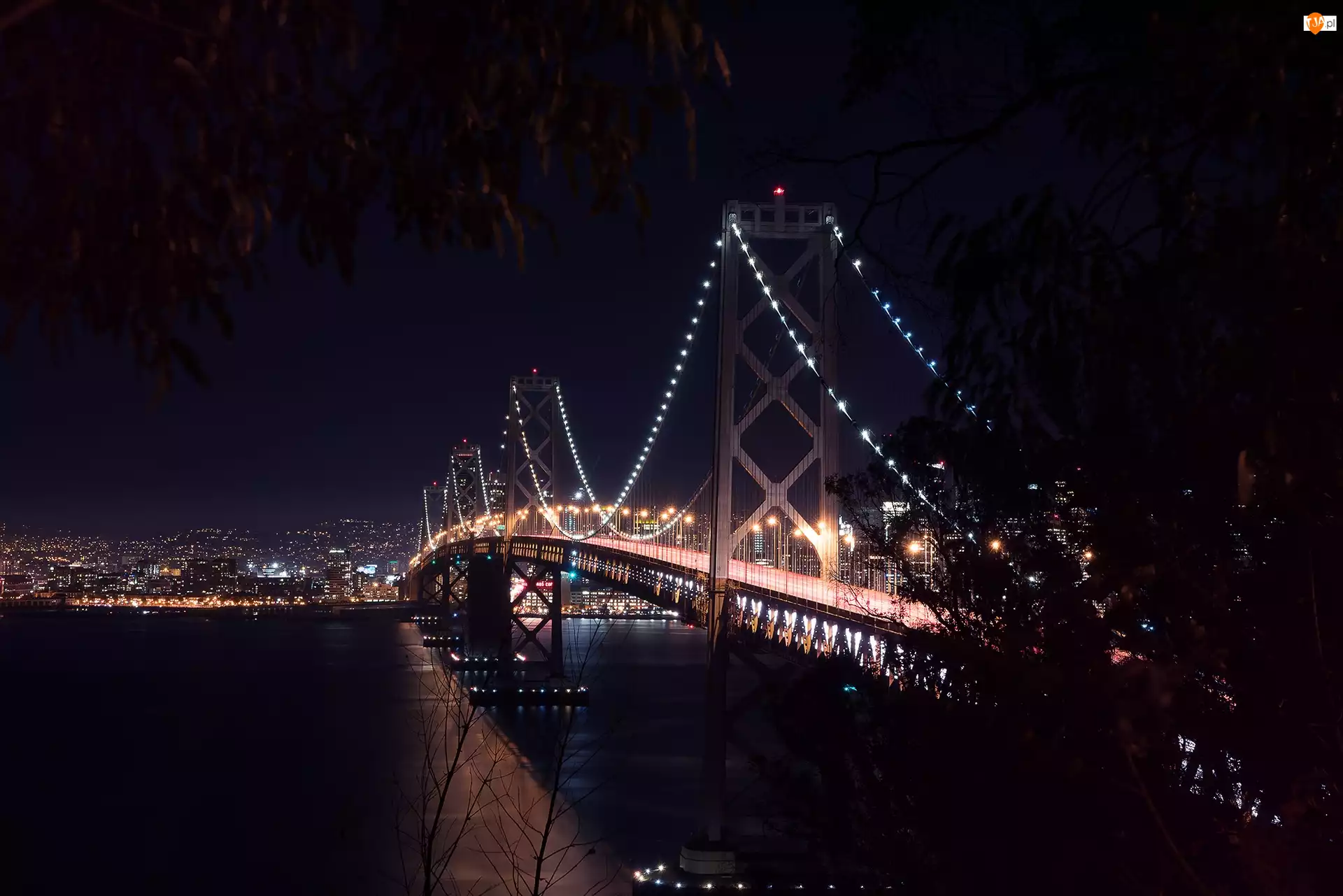 Most Bay, Drzewa, San Francisco, Noc, Oświetlony, Rzeka