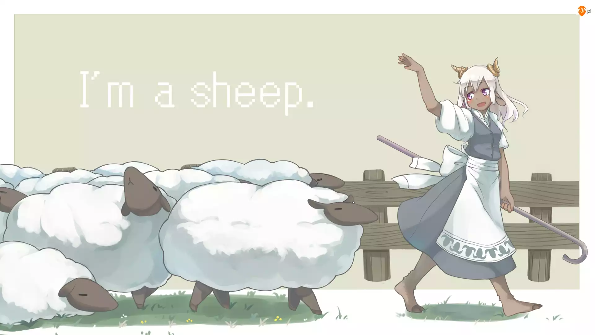 Anime, Dziewczyna, Owce
