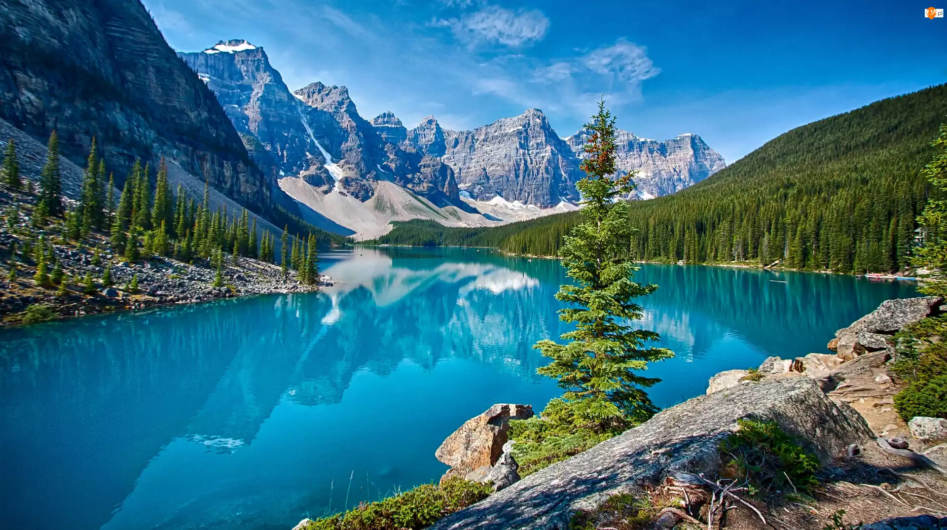 Prowincja Alberta, Kanada, Góry, Świerki, Park Narodowy Banff, Jezioro Moraine