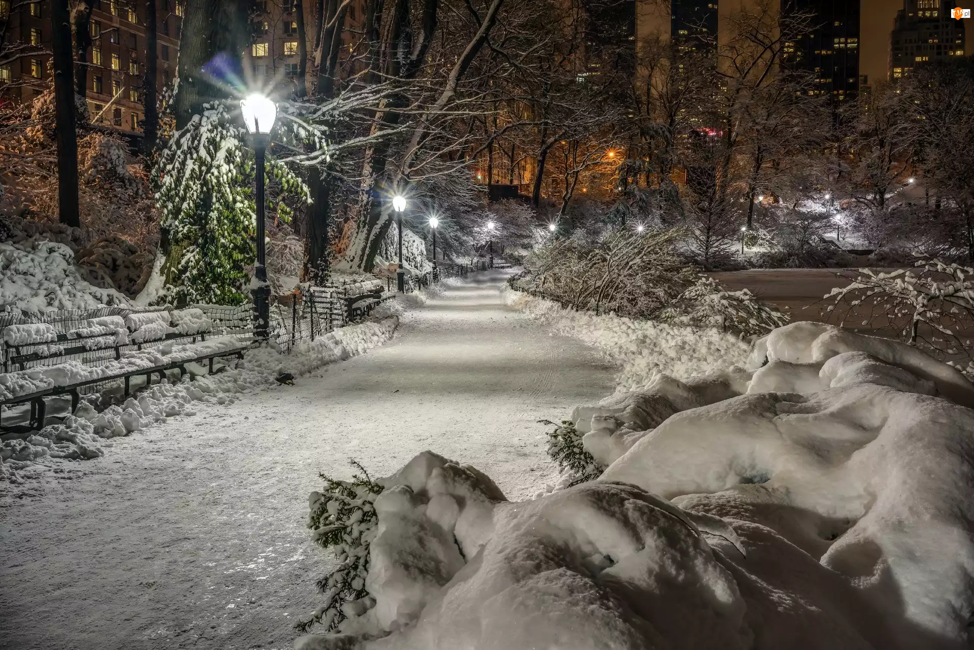 Central Park, USA, Nowy Jork, Zima
