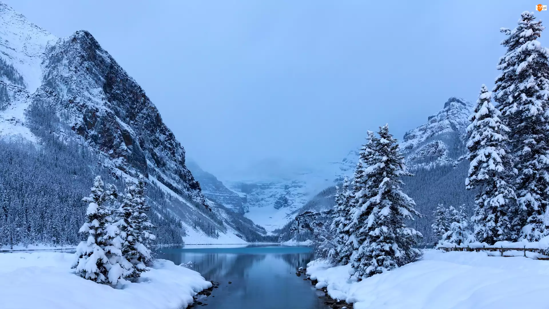 Prowincja Alberta, Park Narodowy Banff, Świerki, Kanada, Zima, Jezioro Lake Louise, Góry