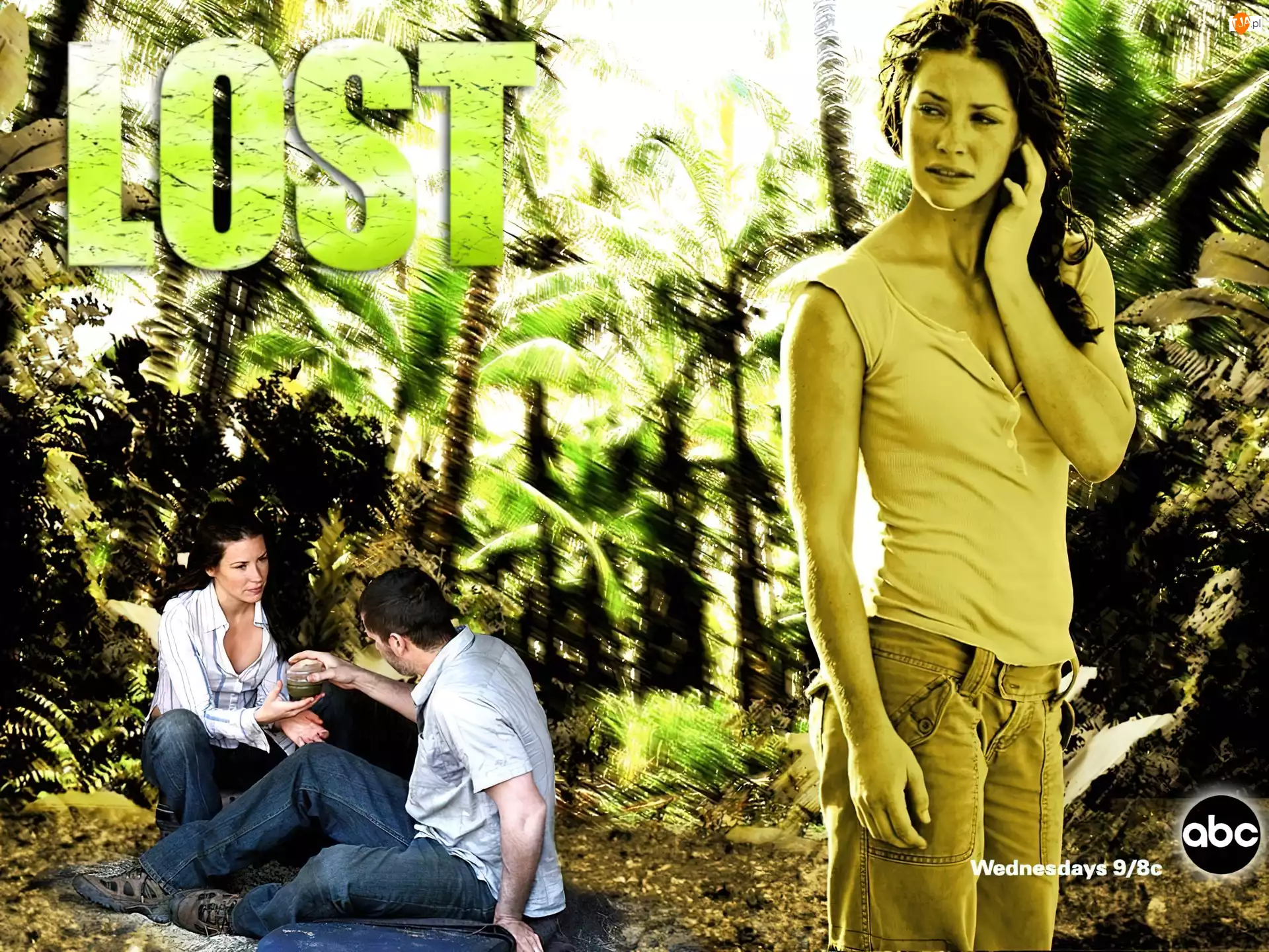 Lost, Serial, Evangeline Lilly, palmy, Zagubieni, dżungla