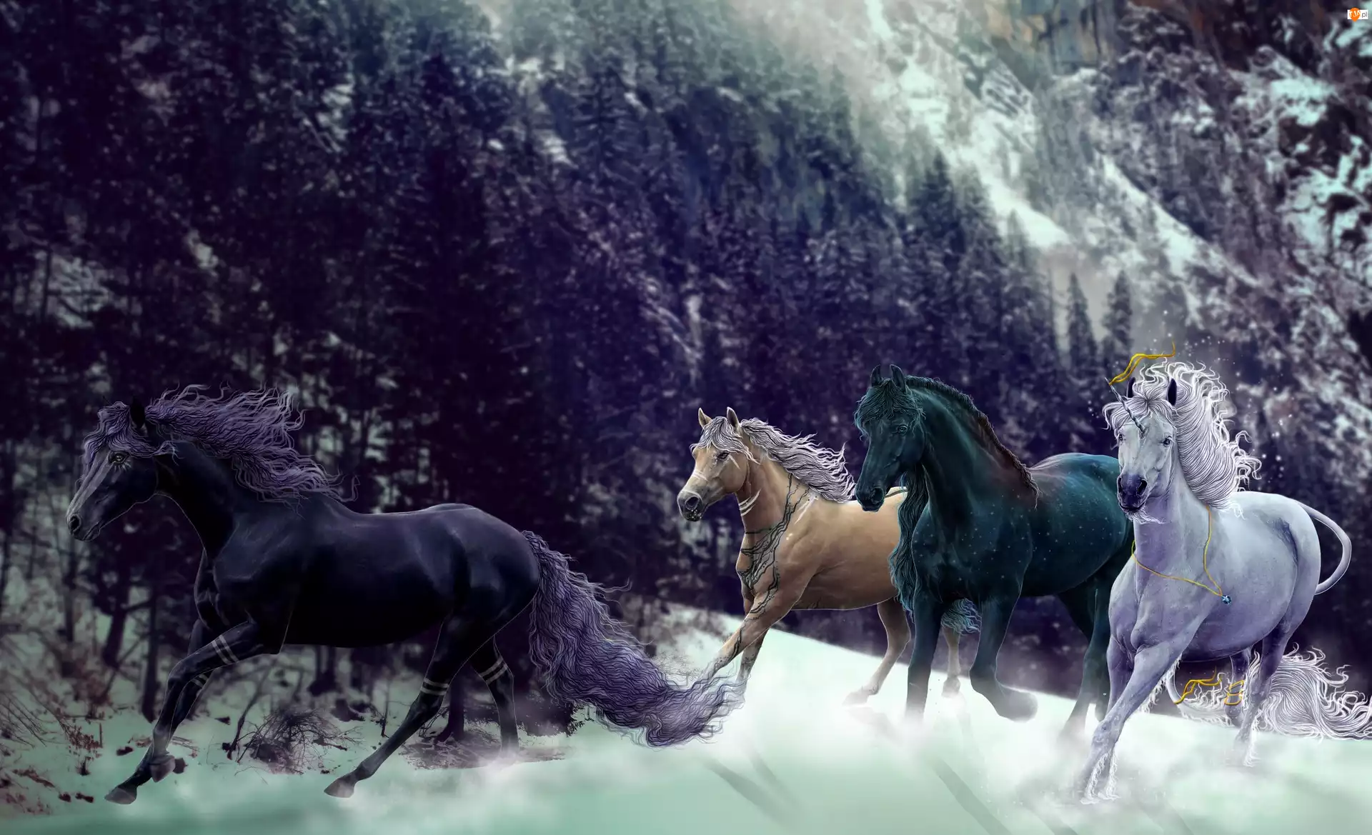 Konie, Drzewa, Śnieg, Góry