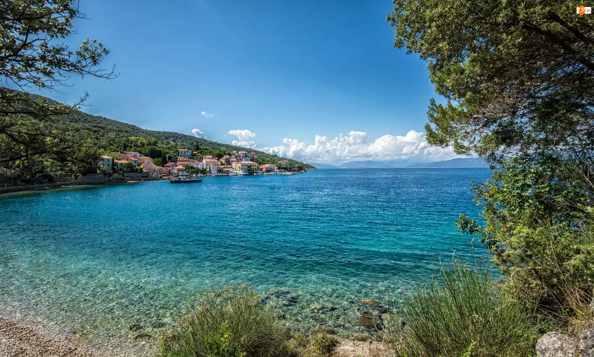 Chorwacja, Morze, Roślinność