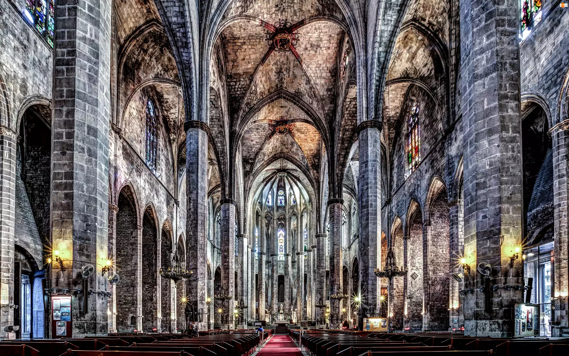Katedra