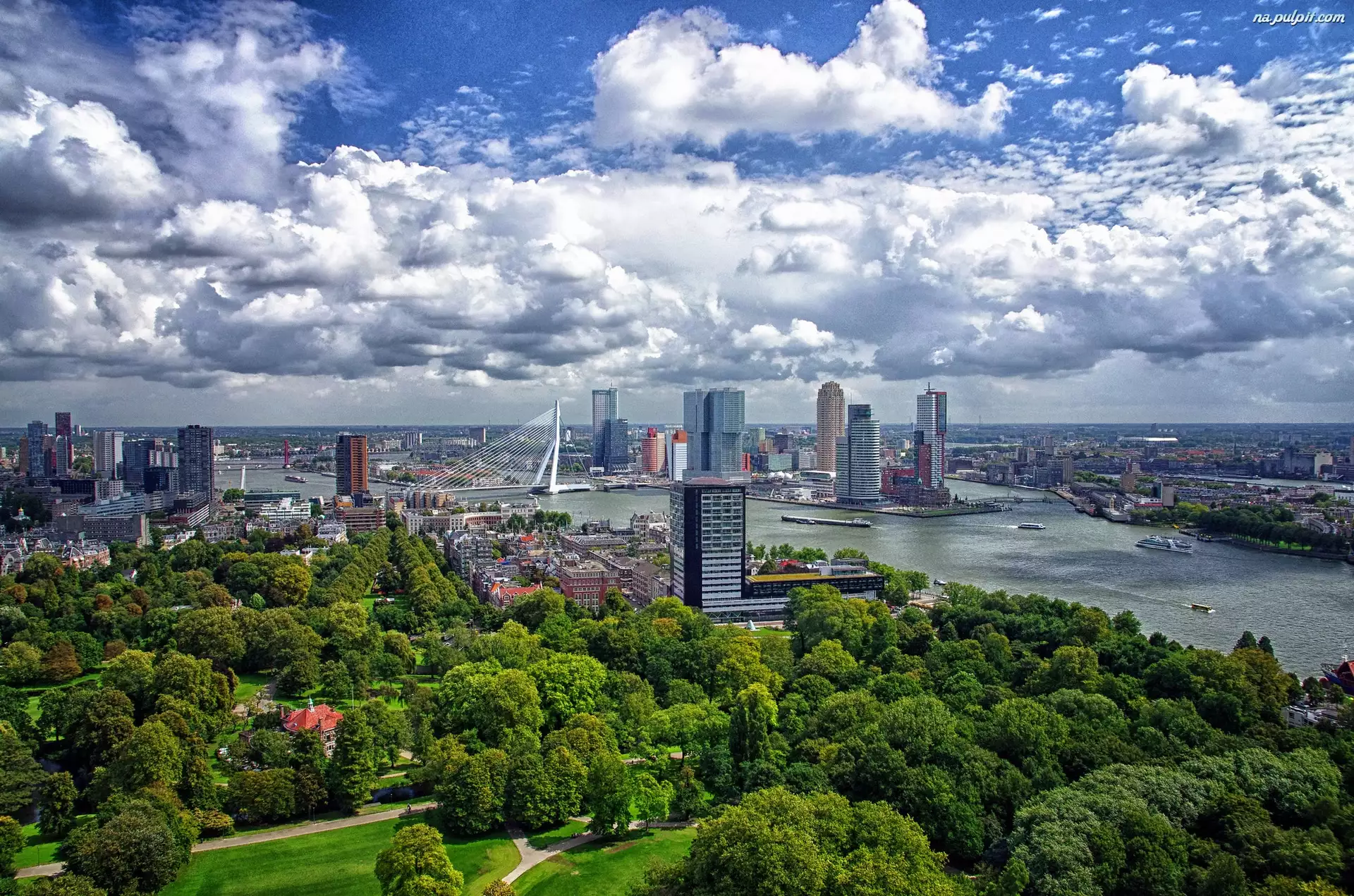 Miasto, Rotterdam, Holandia