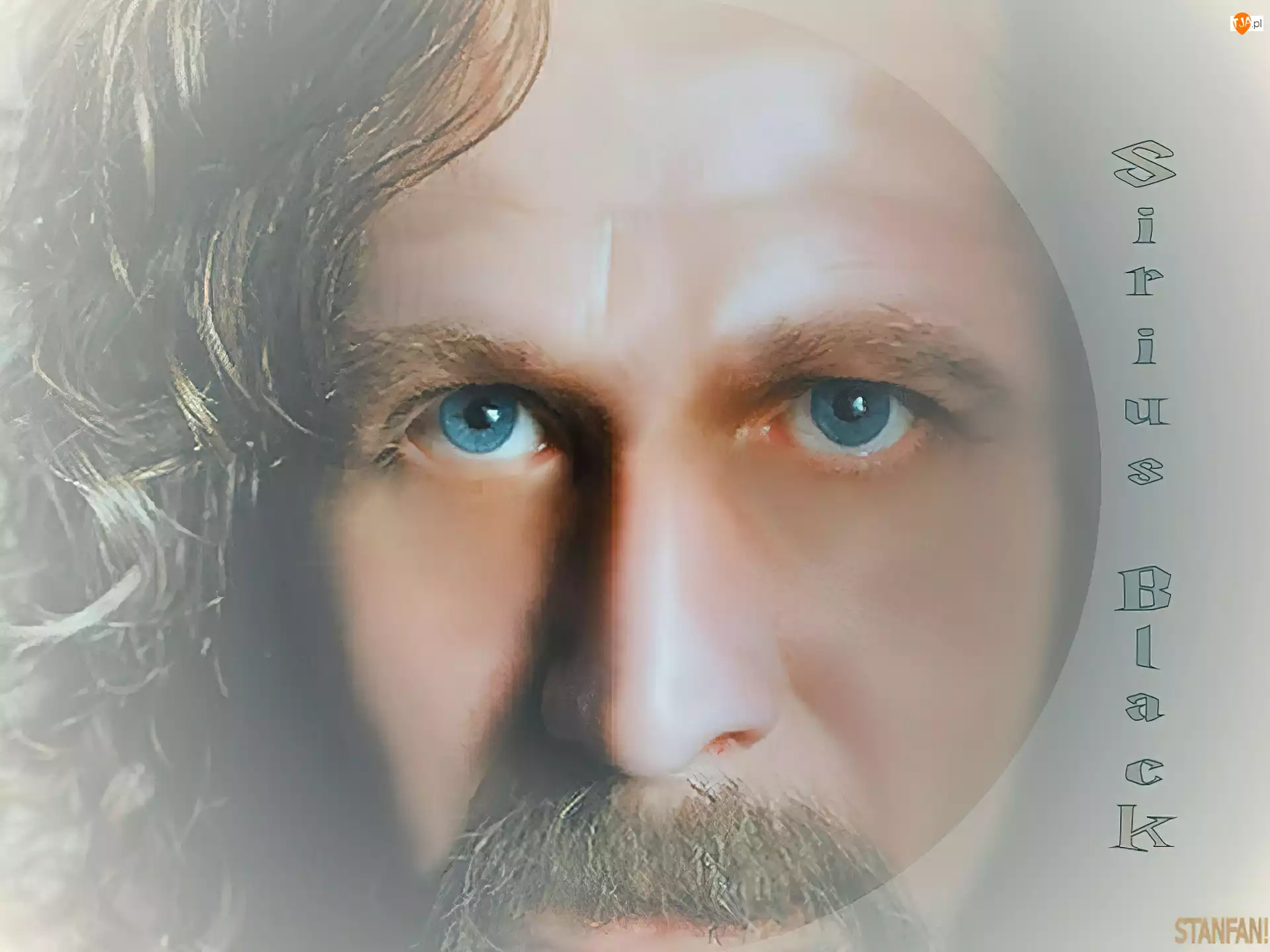 wąsy, Gary Oldman, niebieskie oczy
