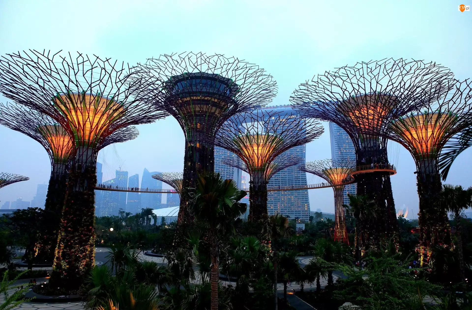 Ogród, Singapur, Hotel, Marina Bay Sands
