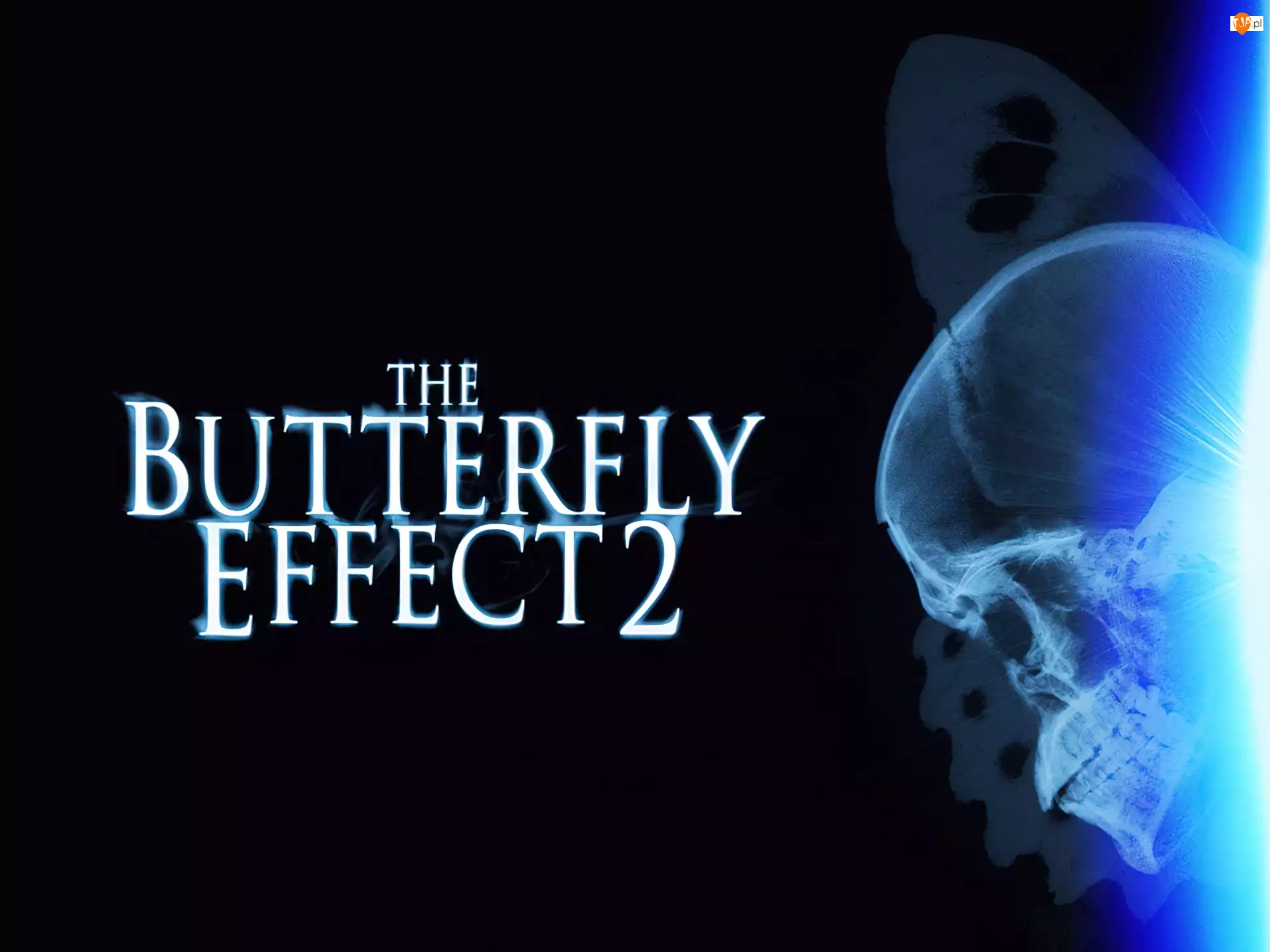 napis, Butterfly Effect 2, czaszka