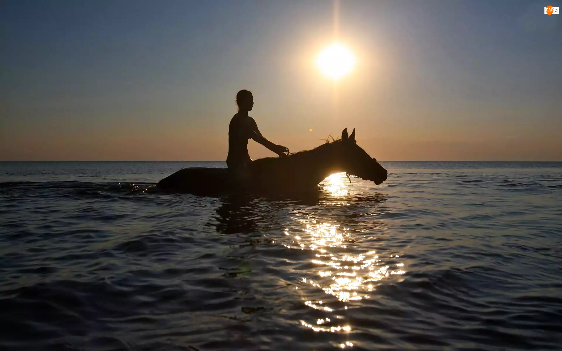 Morze, Dziewczyna, Słońce, Koń