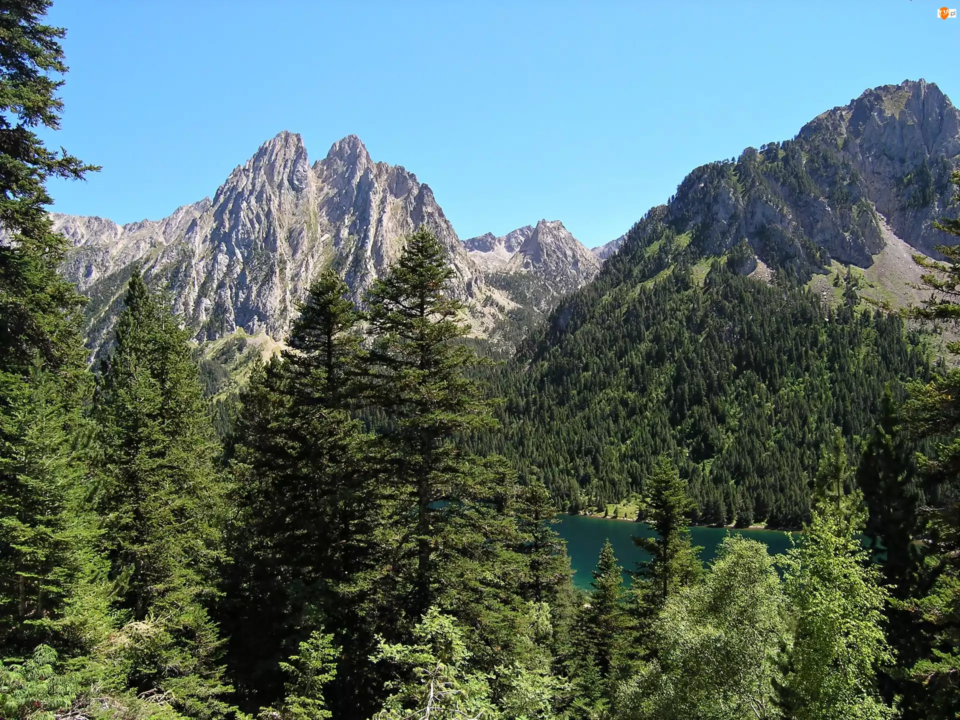 Góry, Las, Pireneje, Mauricio