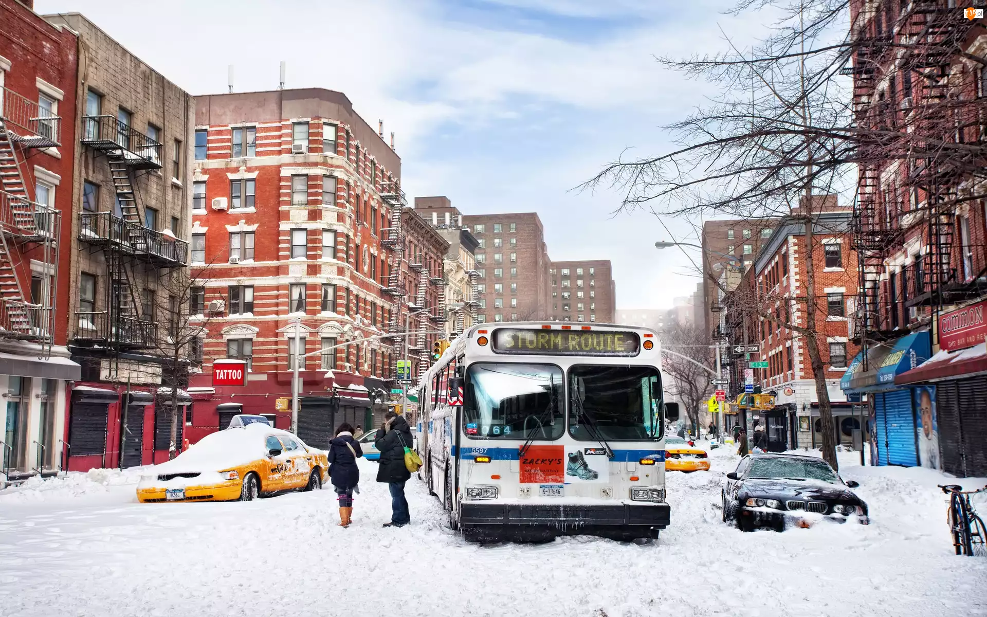 Ludzie, Samochód, Nowy Jork, Stany Zjednoczone, Śnieg, Zima, Autobus