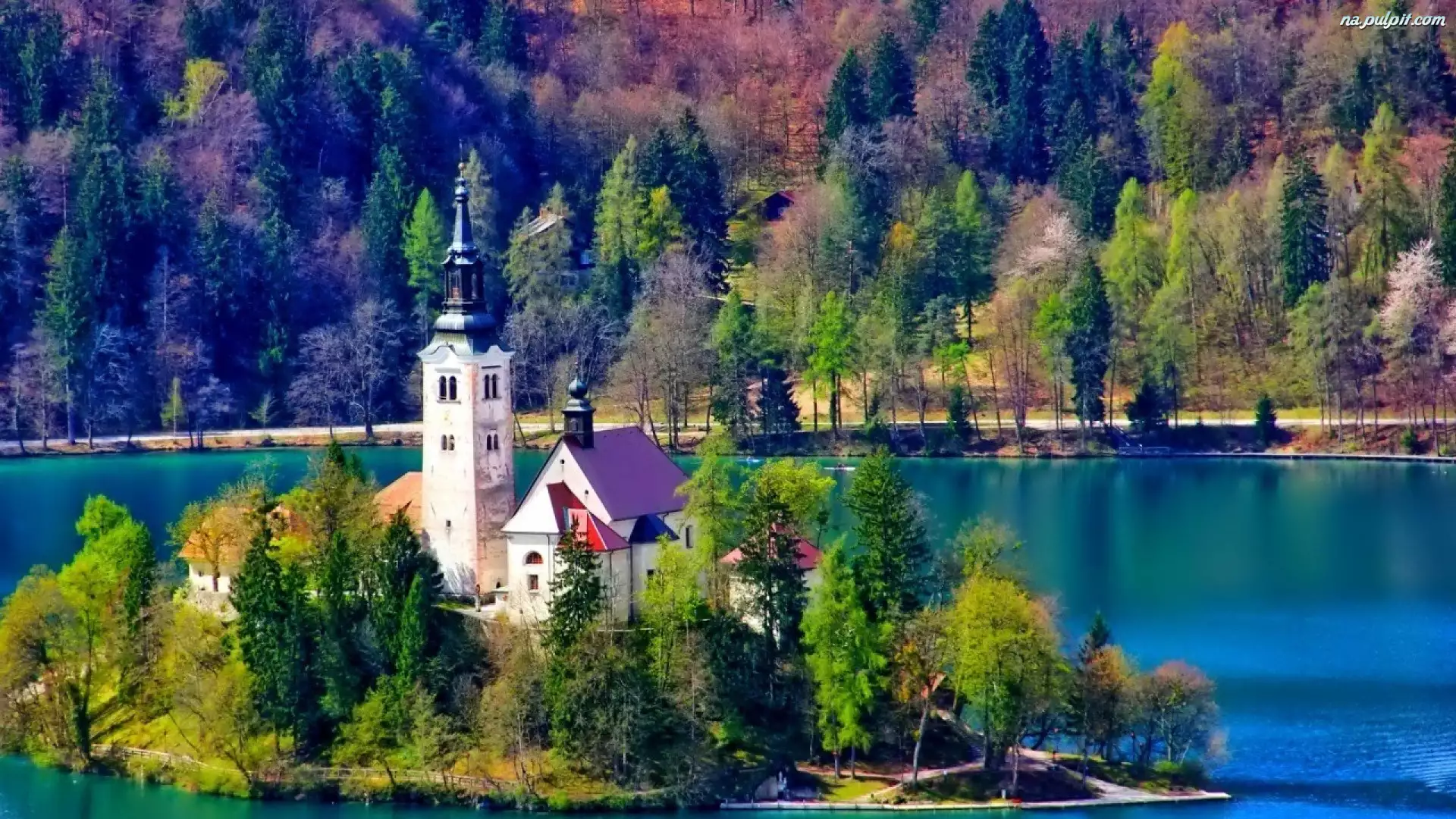 Słowenia, Kościół, Jezioro, Las, Bled