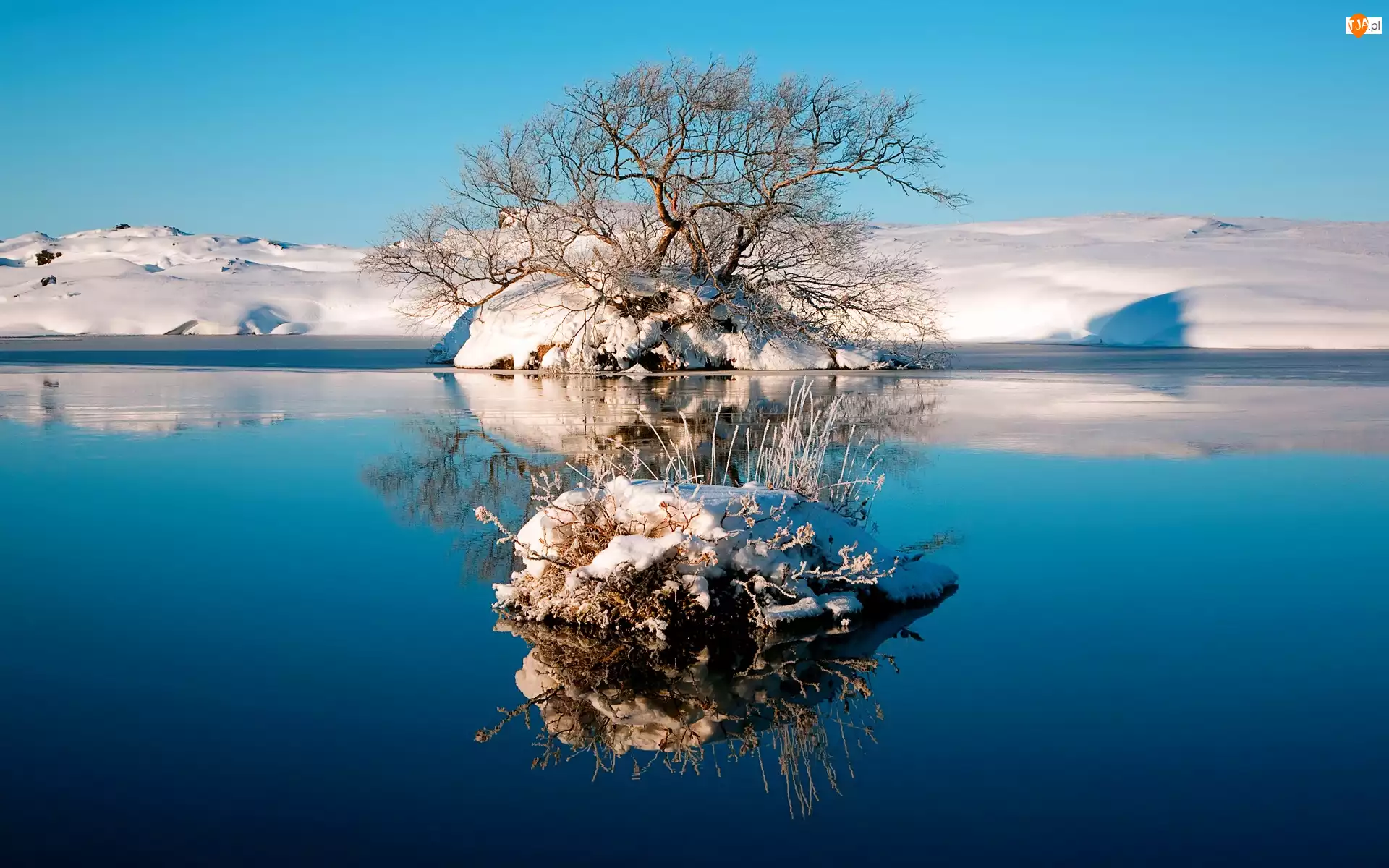 Jezioro, Odbicie, Śnieg, Drzewo