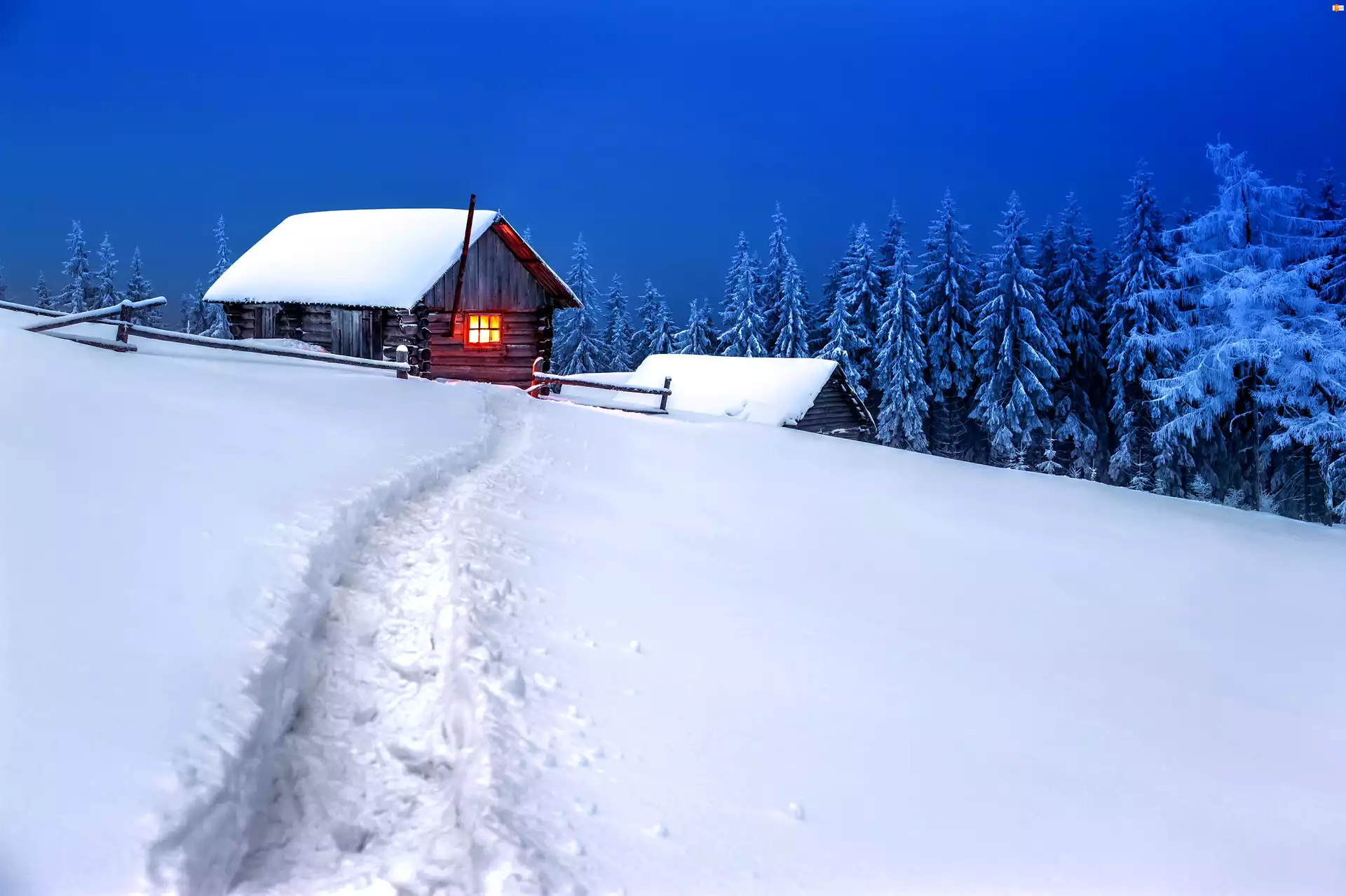 Śnieg, Zima, Ośnieżone Drzewa, Dom, Ścieżka