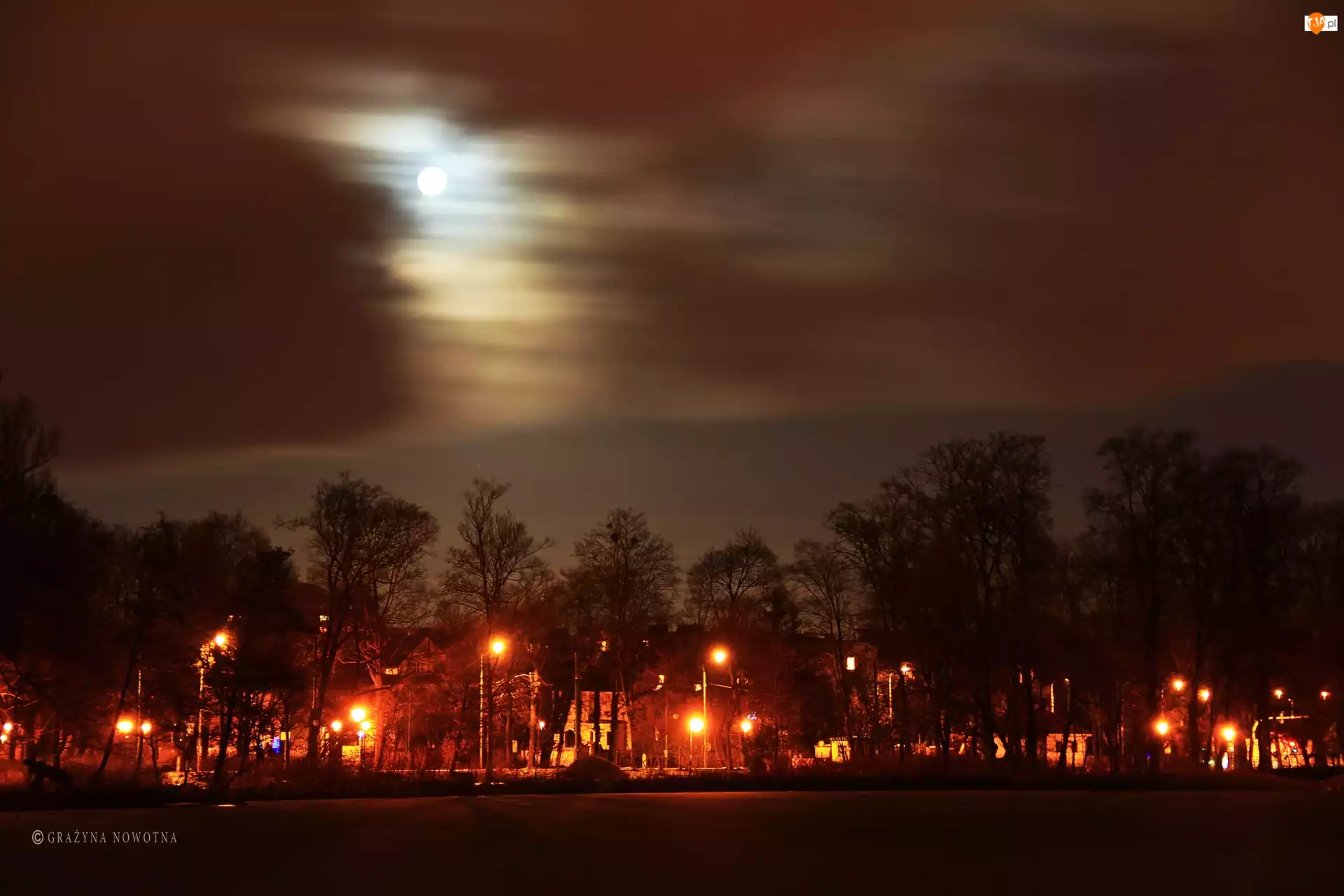 Park, Księżyc, Wieczór, Drzewa