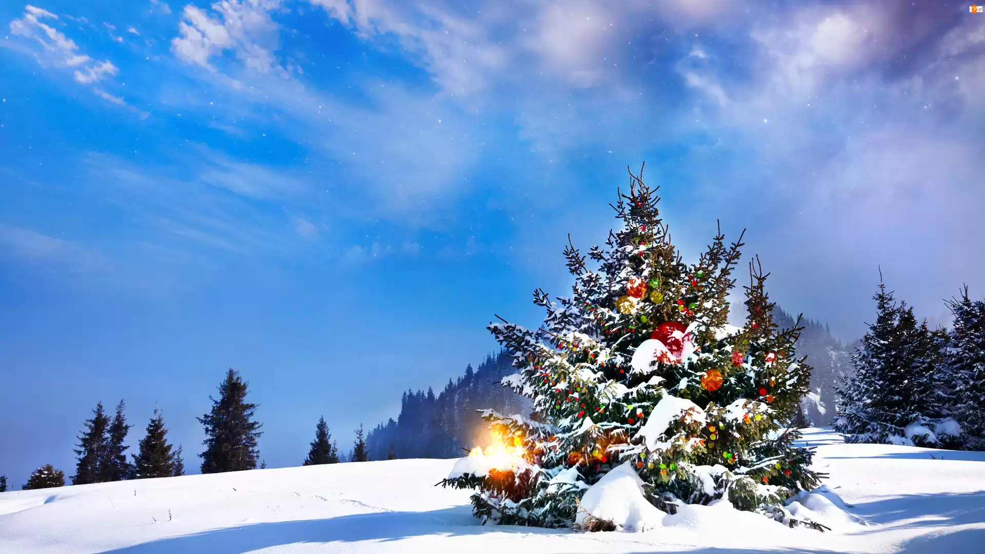 Święta, Choinka, Śnieg, Ozdoby, Zima
